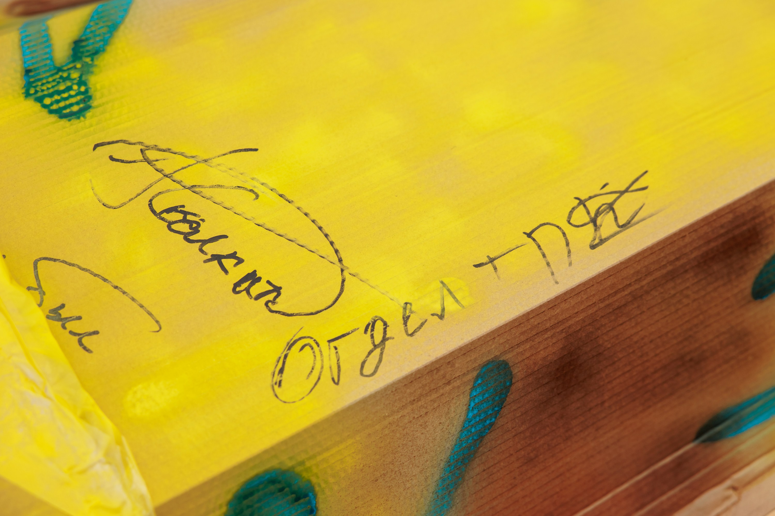 Тимбилдинг выезд. Репортажный фотограф. Москва. Алина Ланская