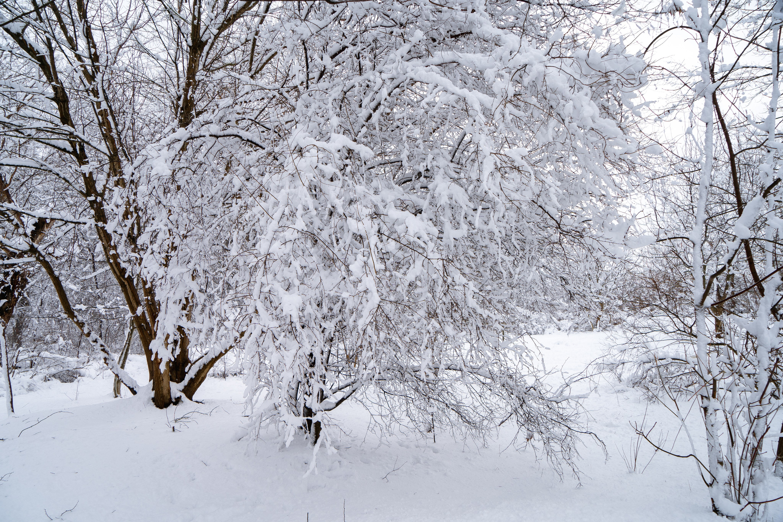 Зима 2024. Свадебный и семейный фотограф/видеограф в Краснодаре Наталья Осинская
