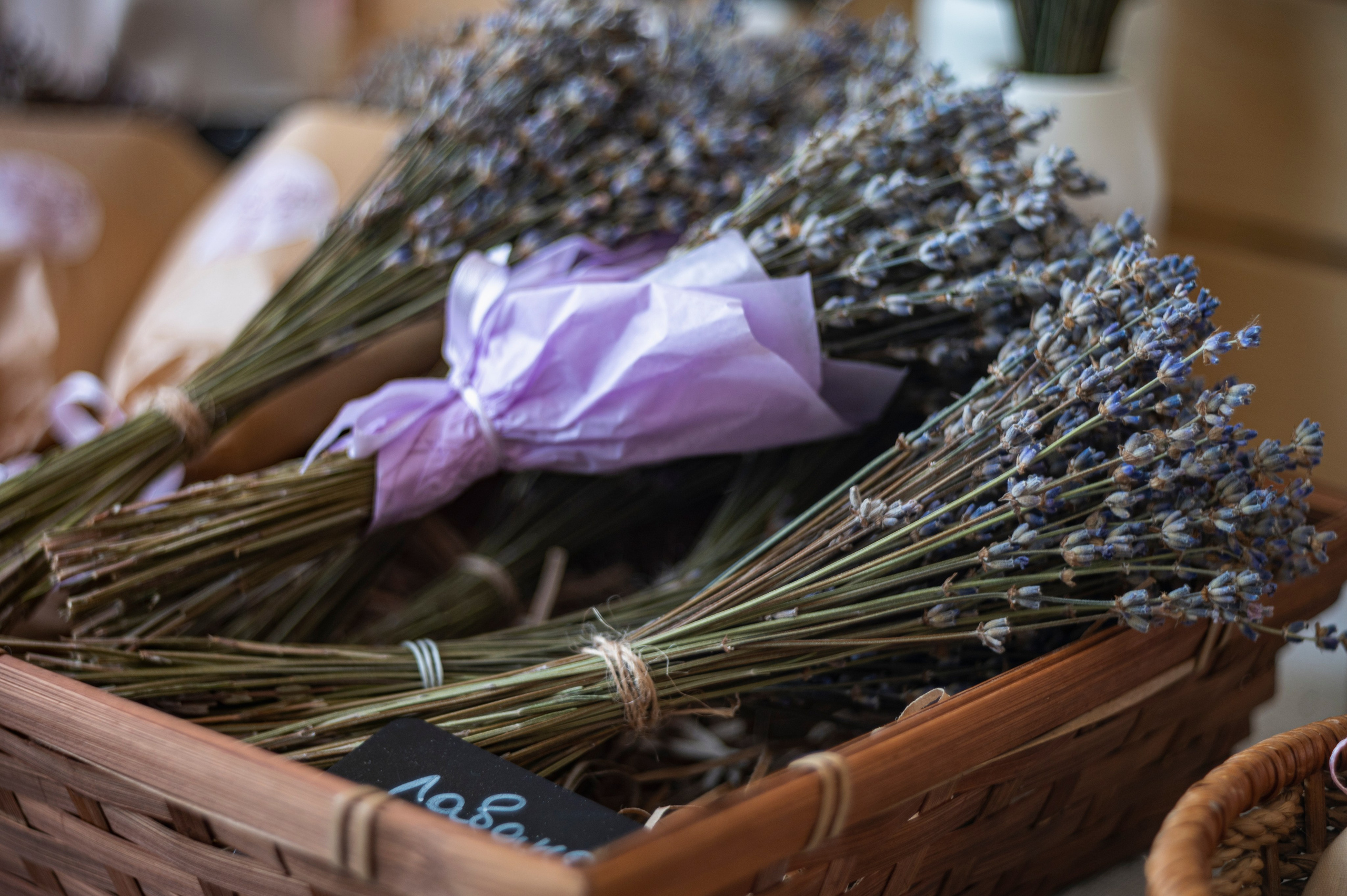 Казань. Сентябрь 2022. Фотограф Роман Адлер