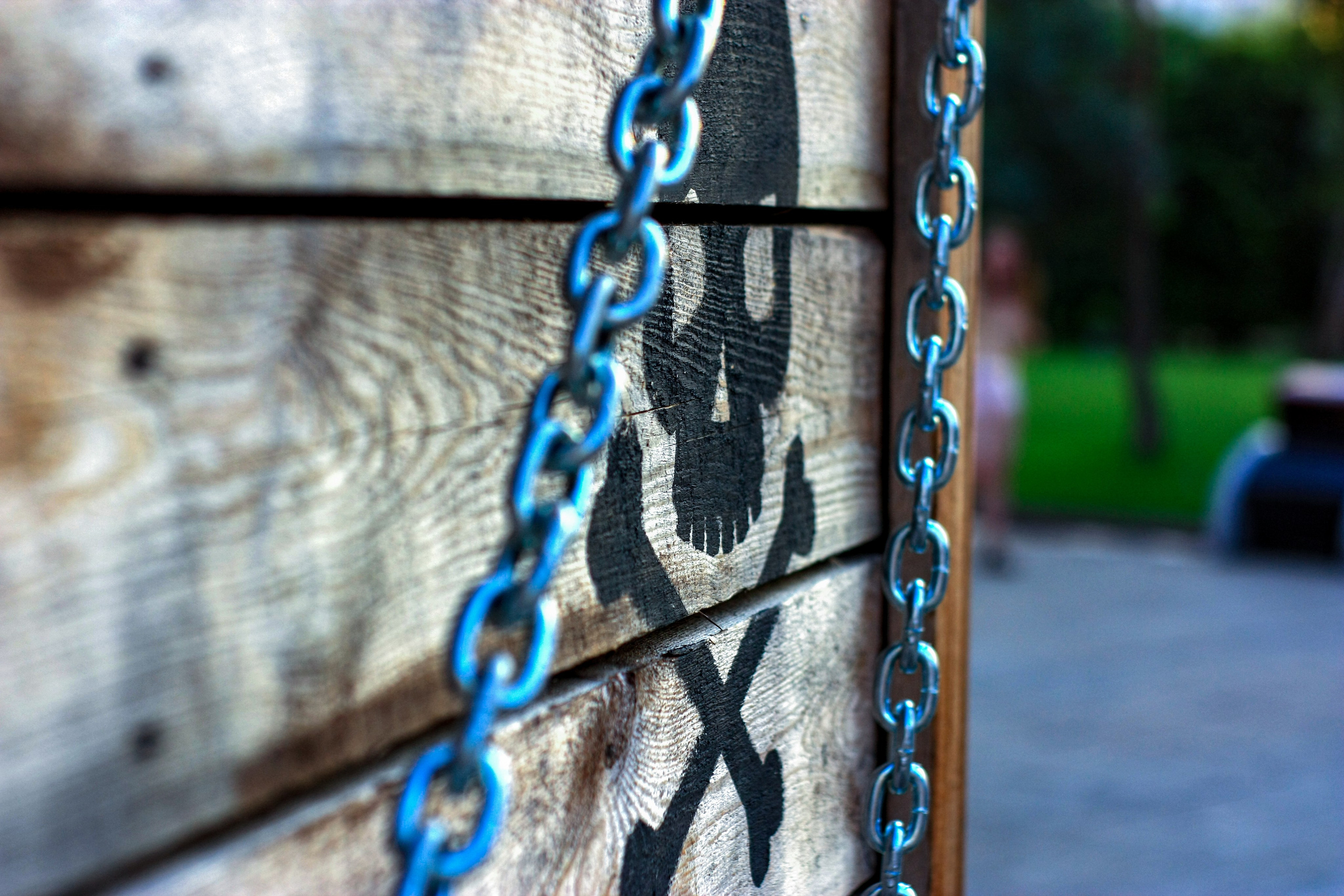 Первые кадры. Сочи — парк. Фотограф Роман Адлер