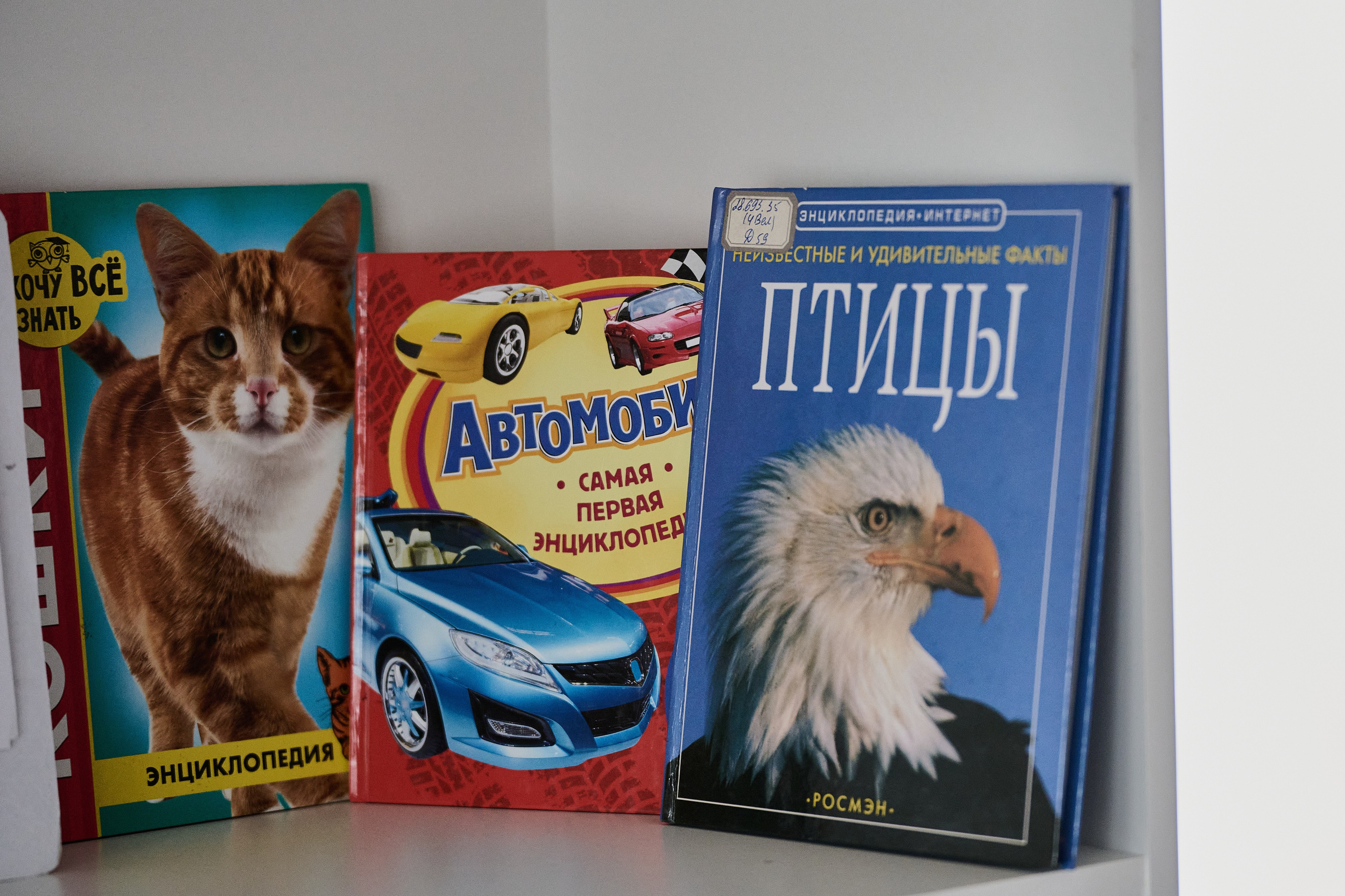 Краснореченское (Луганская область). Ноябрь 2024. Фотограф Роман Адлер