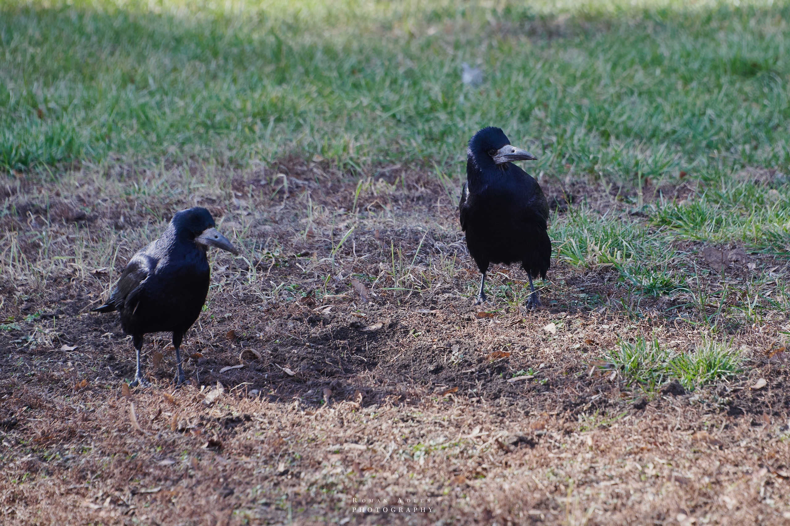 Донецк. Февраль 2024. Фотограф Роман Адлер