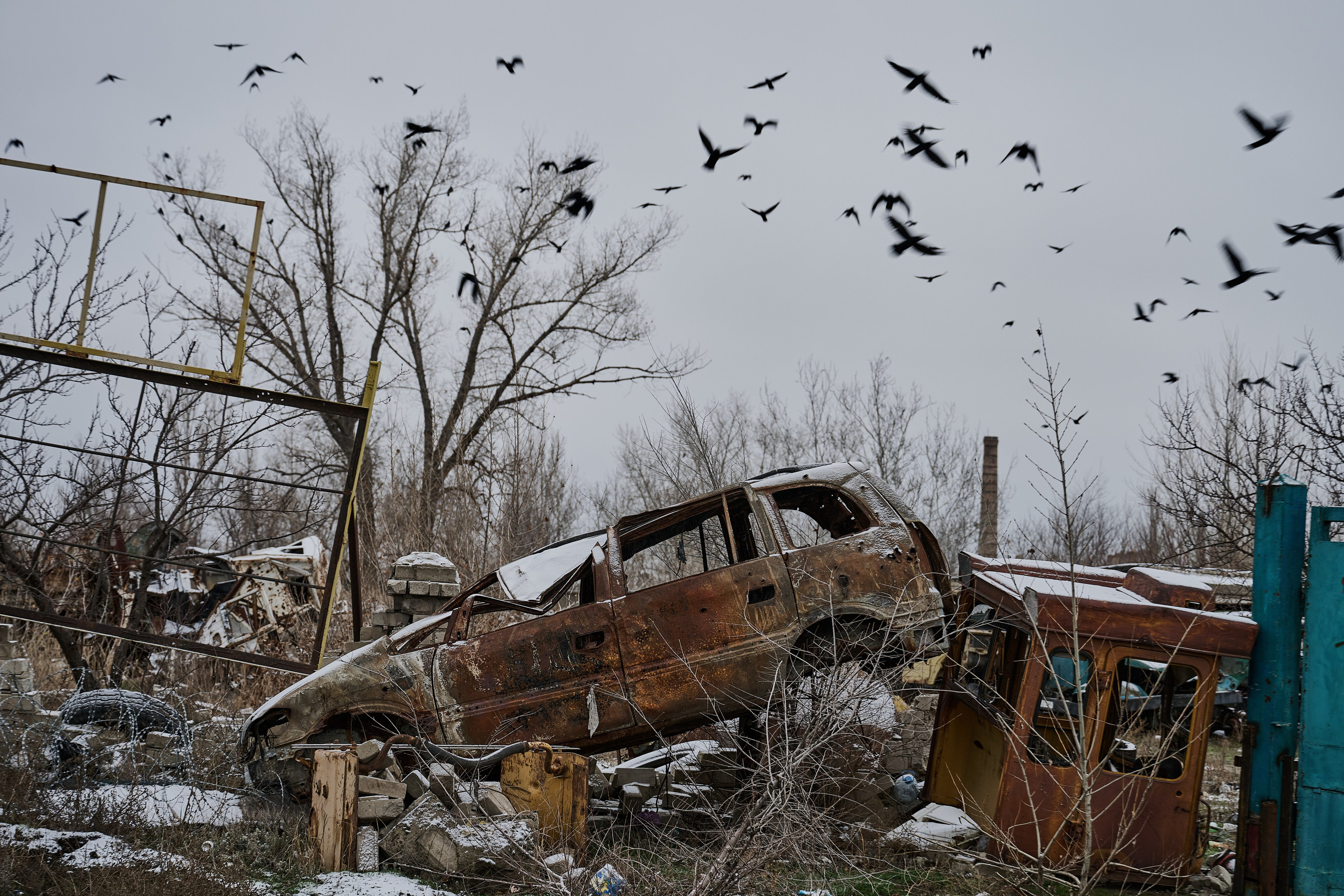 Северодонецк (Луганская область). Декабрь 2024. Фотограф Роман Адлер