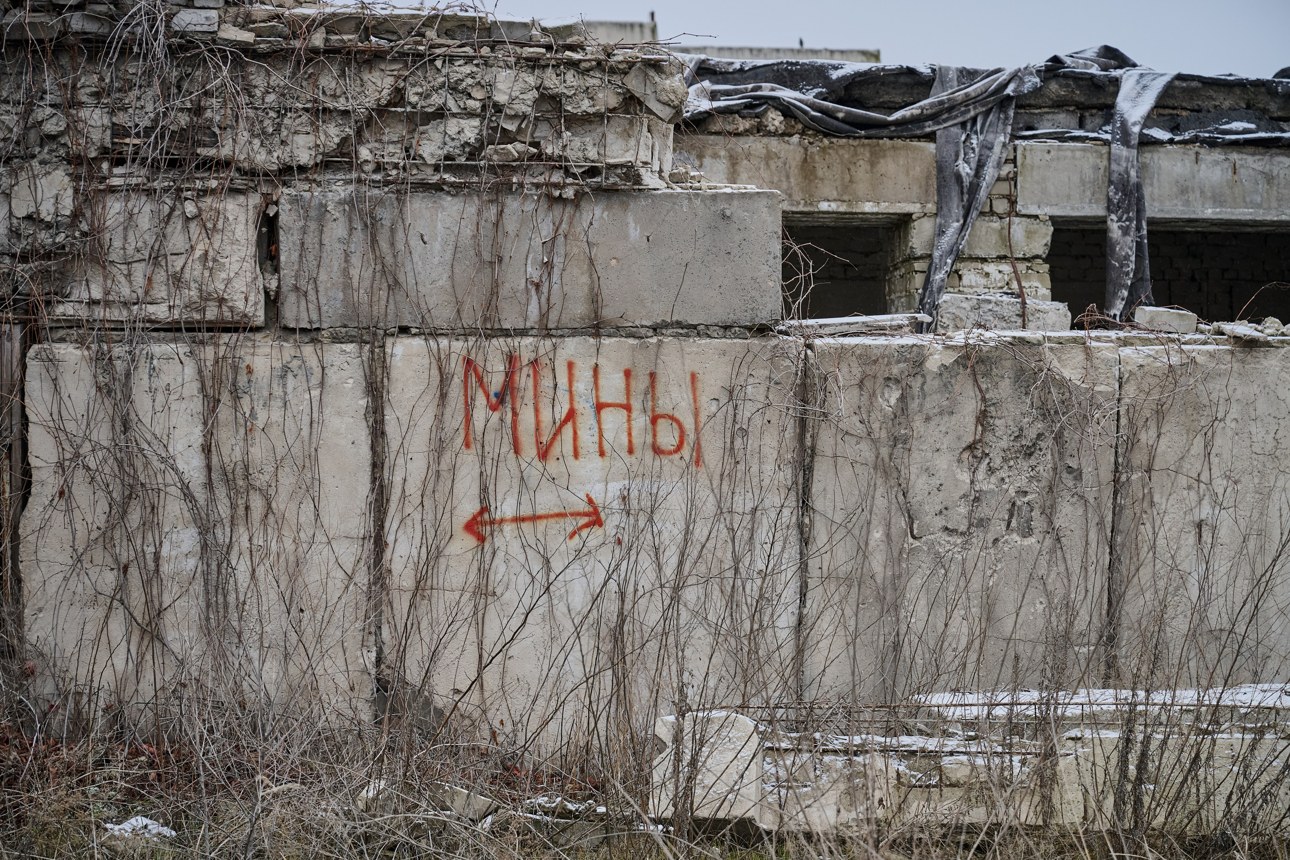 Северодонецк (Луганская область). Декабрь 2024. Фотограф Роман Адлер