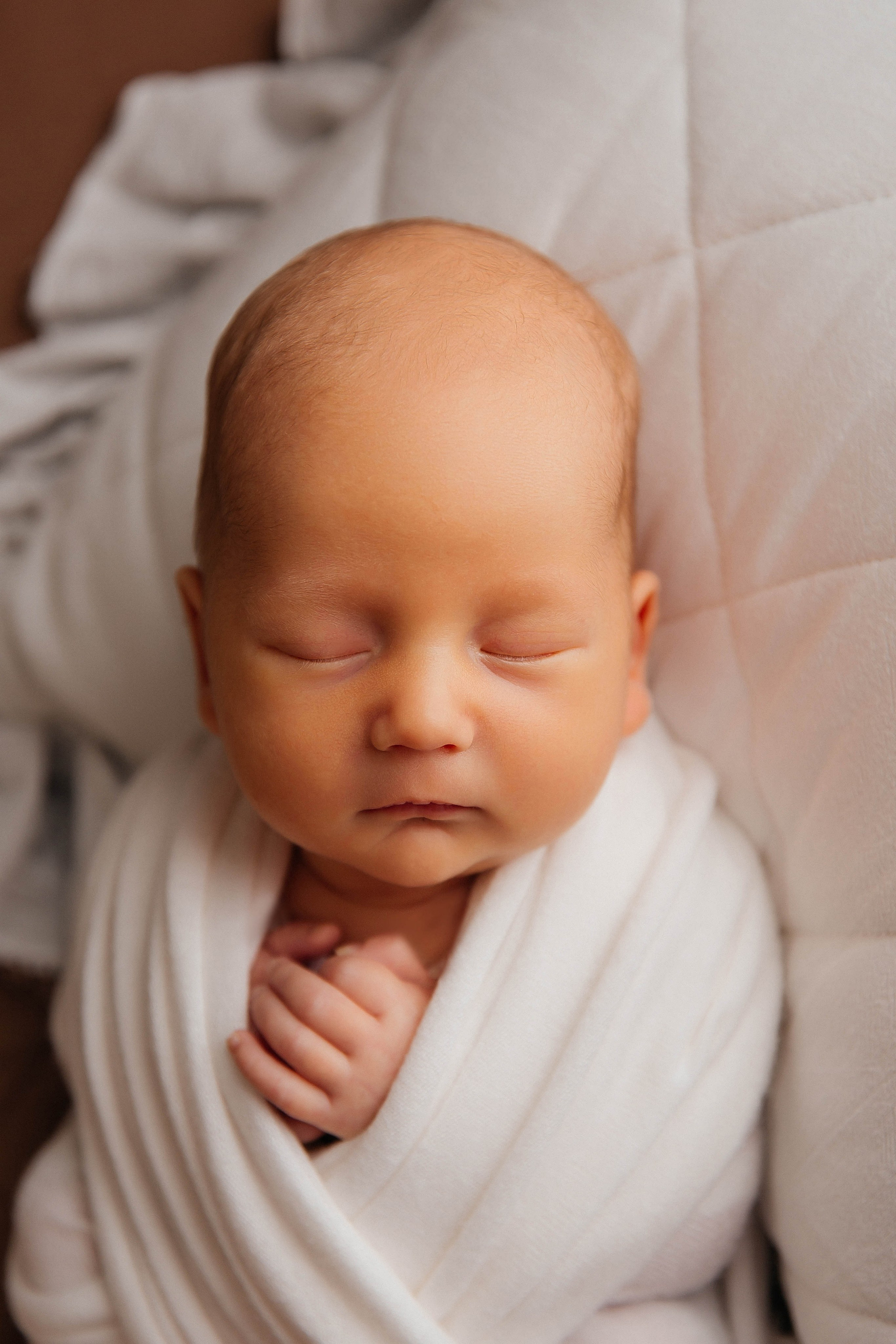 Лев. Фотограф новорожденных Тверь Диана Муляева