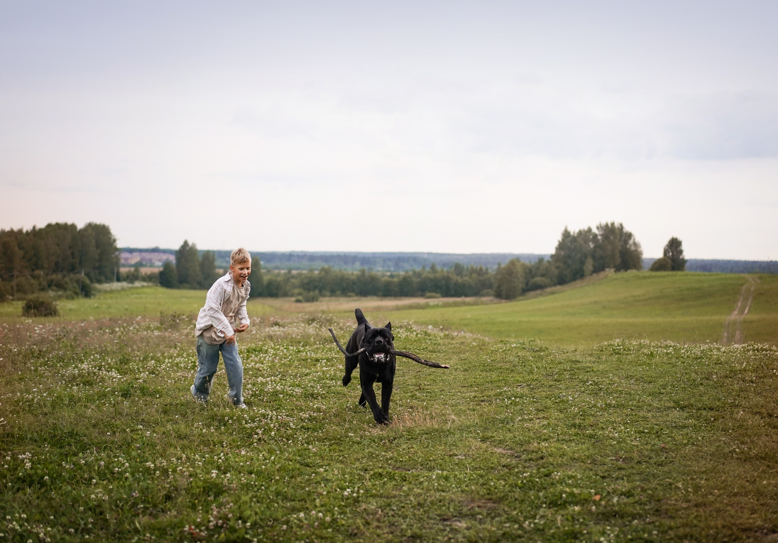 Юлия Костя и Виннер. Фотограф-анималист в Санкт-Петербурге Яна Мартынова
