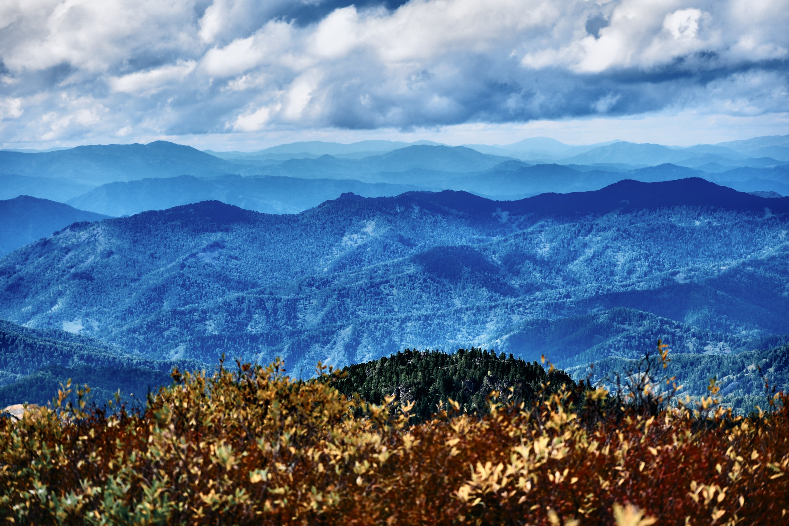 Алтай. Юрий Березнюк. Фотожурналистика