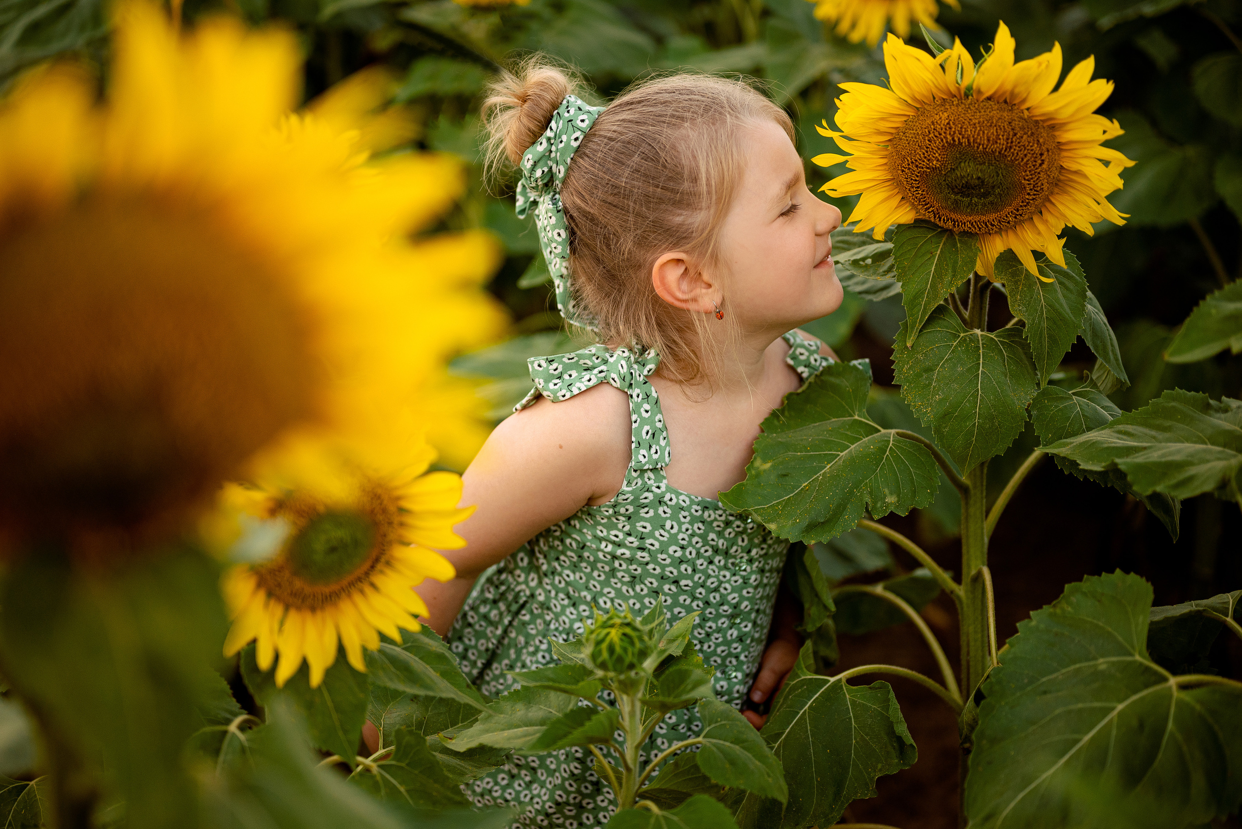 Подсолнуховое веселье. Свадебный и портретный фотограф в Минске Наташа Каракулова
