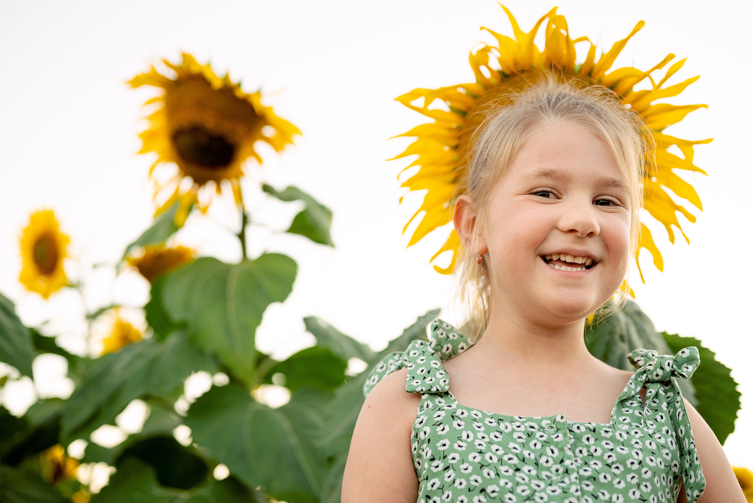Подсолнуховое веселье. Свадебный и портретный фотограф в Минске Наташа Каракулова