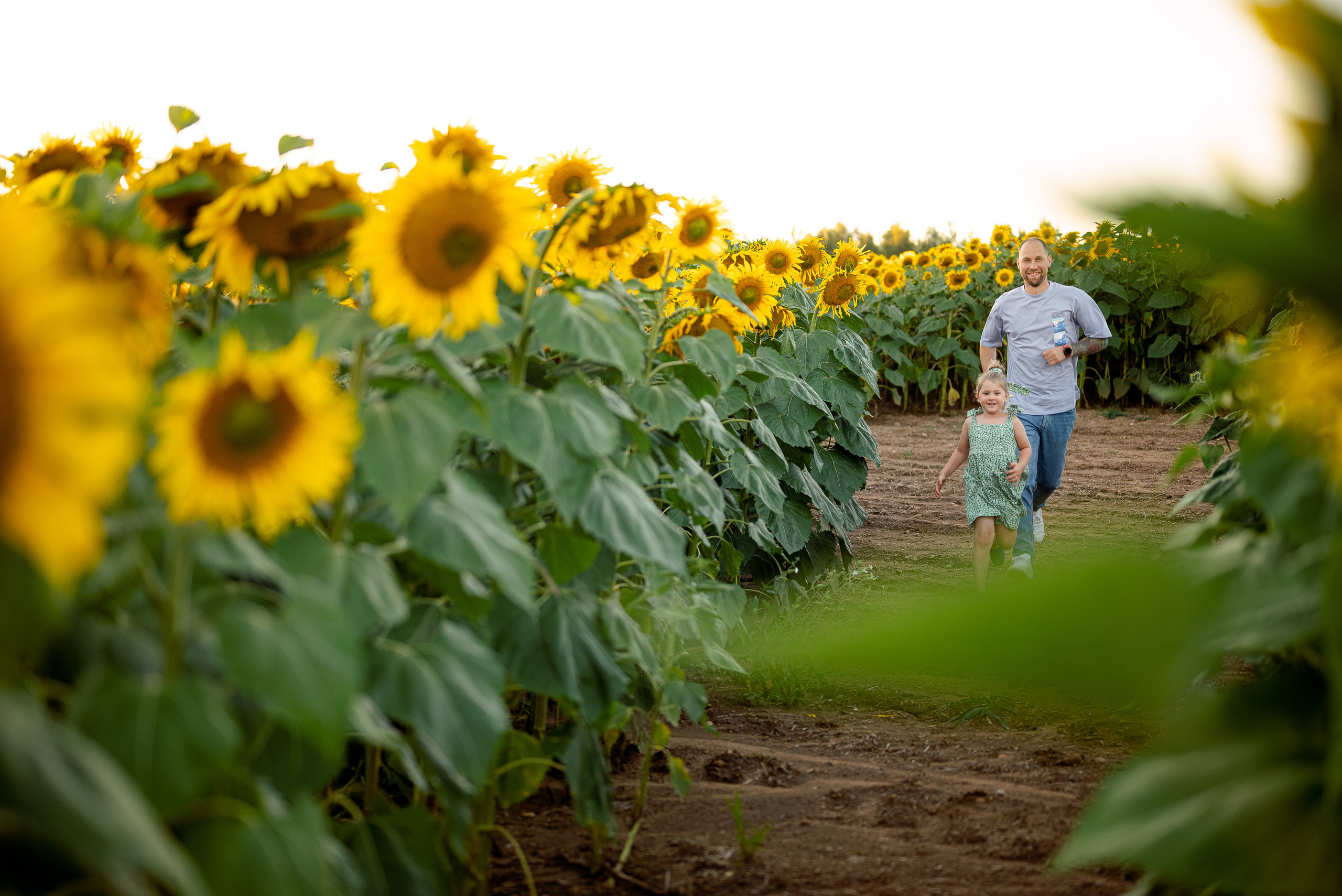 Подсолнуховое веселье. Свадебный и портретный фотограф в Минске Наташа Каракулова