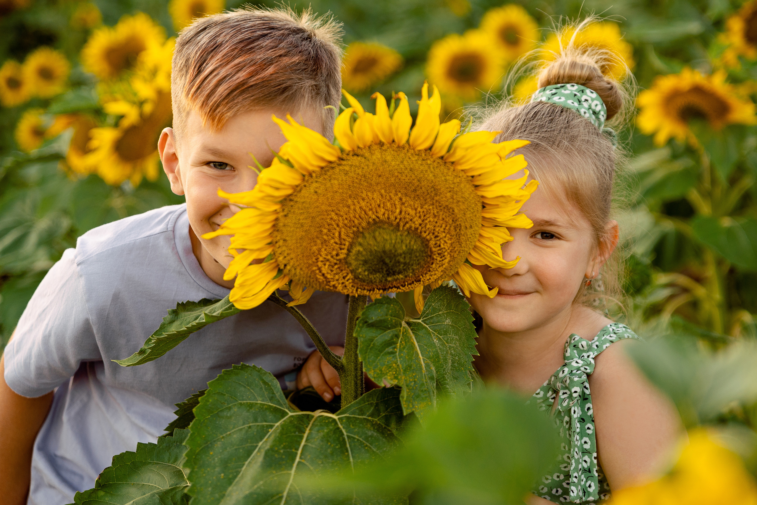 Подсолнуховое веселье. Свадебный и портретный фотограф в Минске Наташа Каракулова