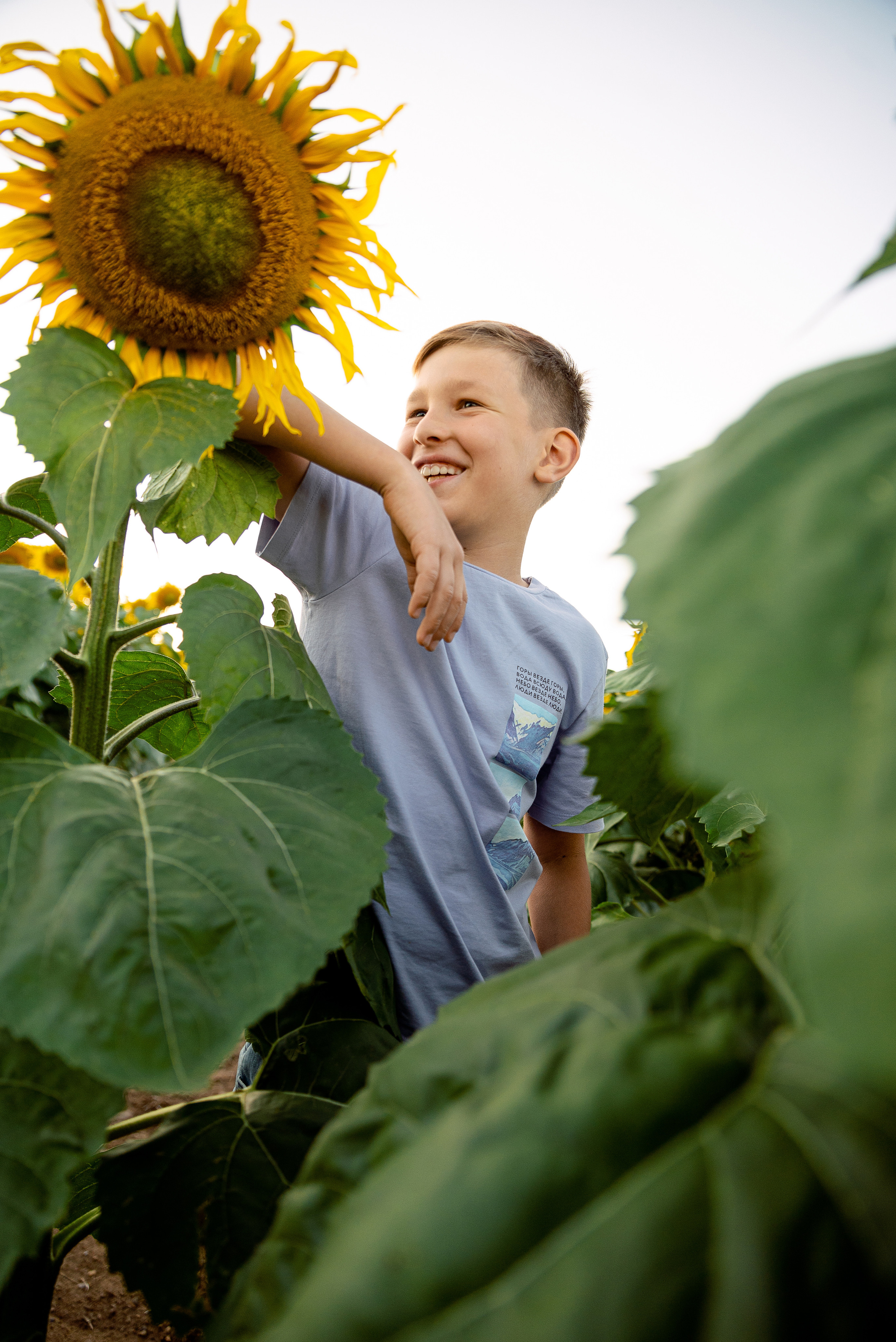 Подсолнуховое веселье. Свадебный и портретный фотограф в Минске Наташа Каракулова