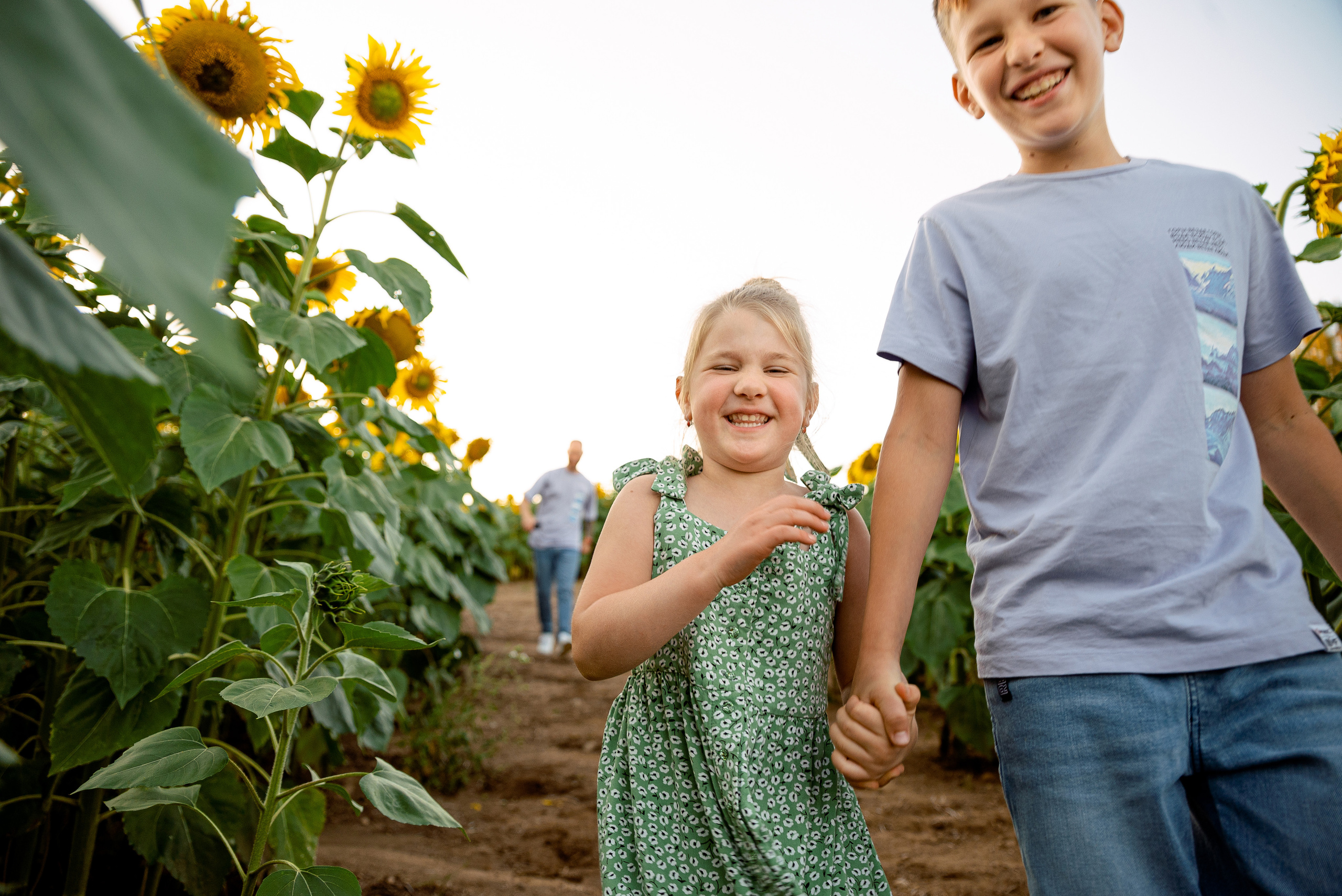 Подсолнуховое веселье. Свадебный и портретный фотограф в Минске Наташа Каракулова