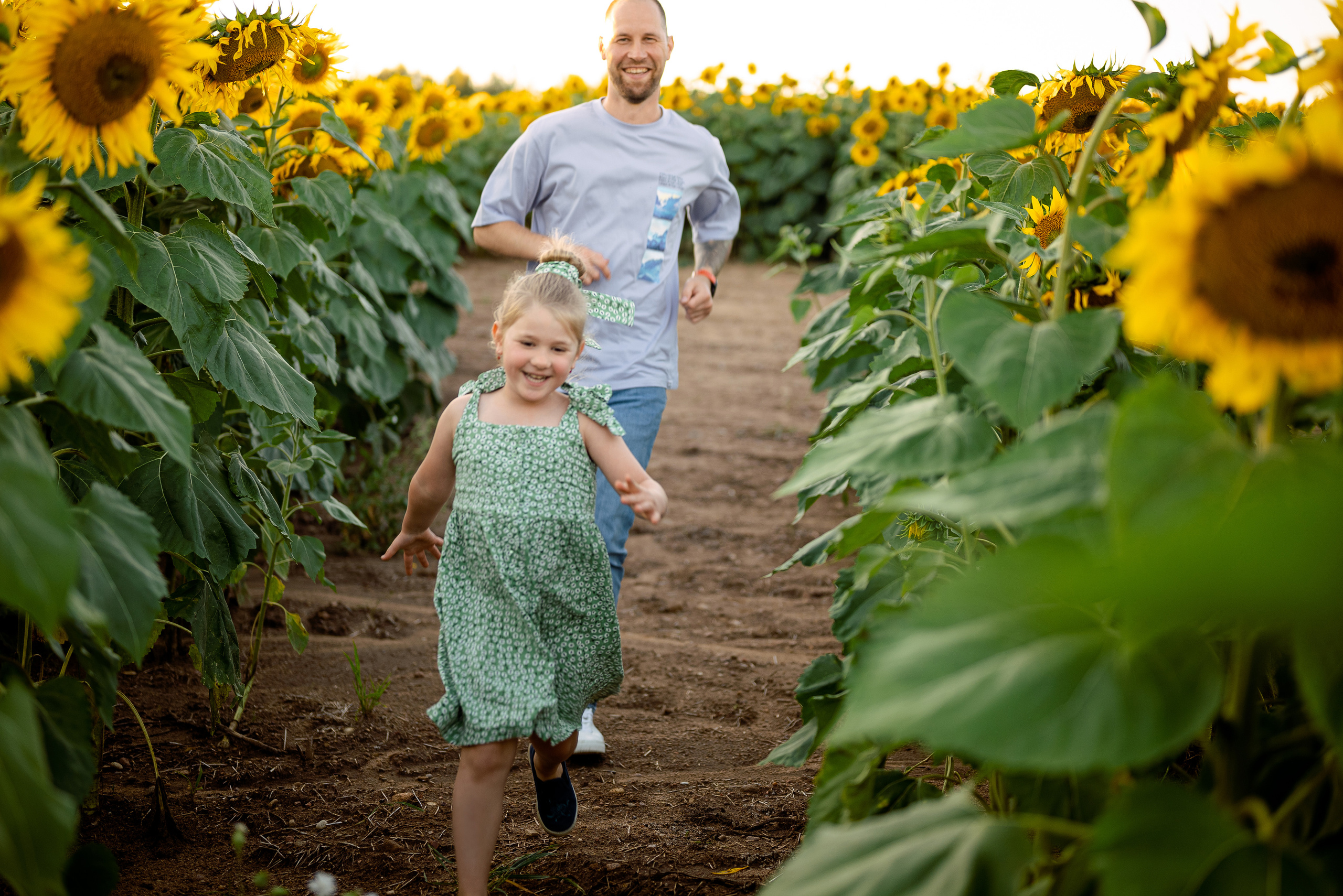 Подсолнуховое веселье. Свадебный и портретный фотограф в Минске Наташа Каракулова