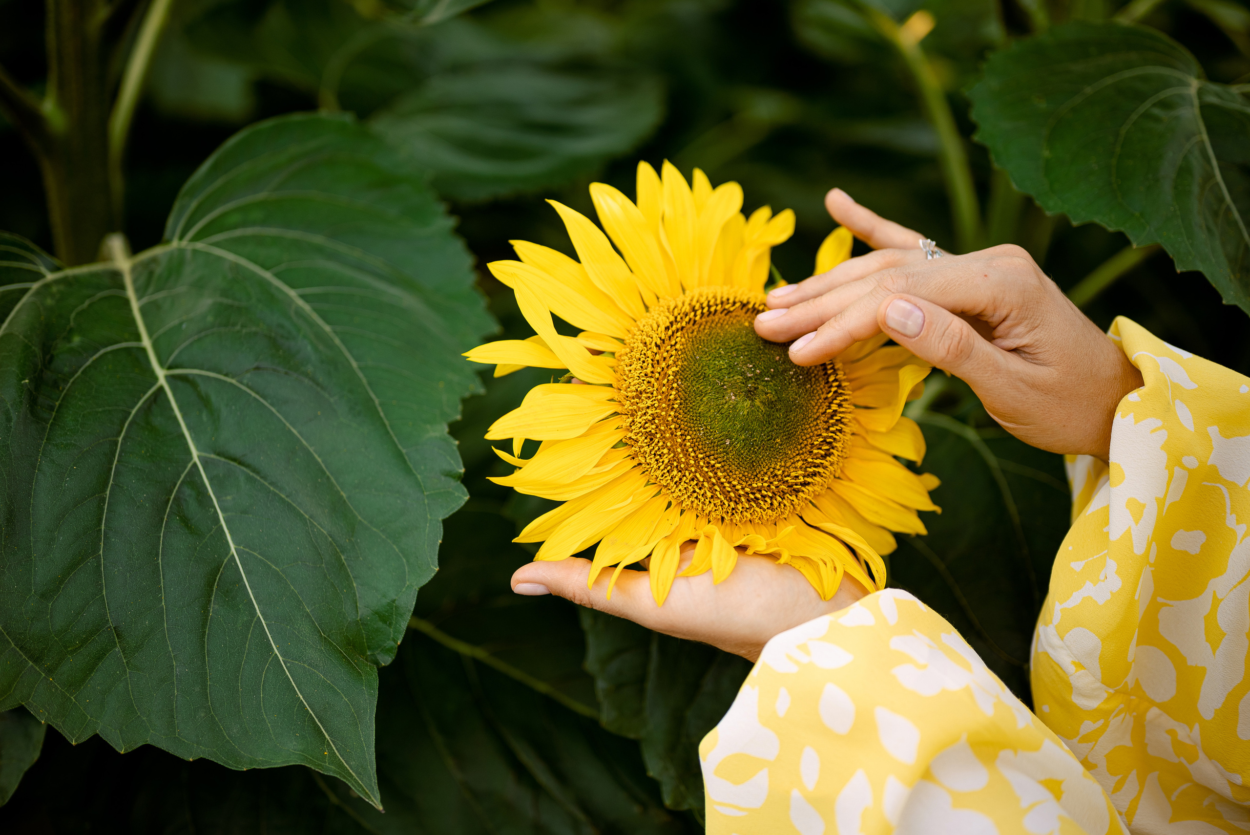 Елена. Свадебный и портретный фотограф в Минске Наташа Каракулова