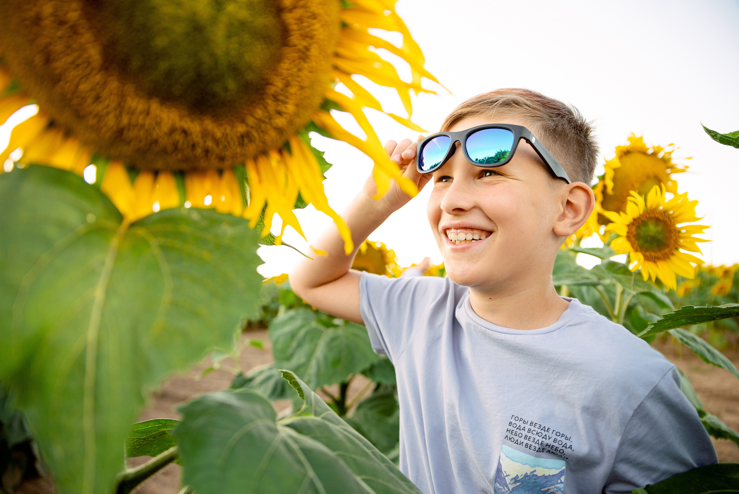 Подсолнуховое веселье. Свадебный и портретный фотограф в Минске Наташа Каракулова