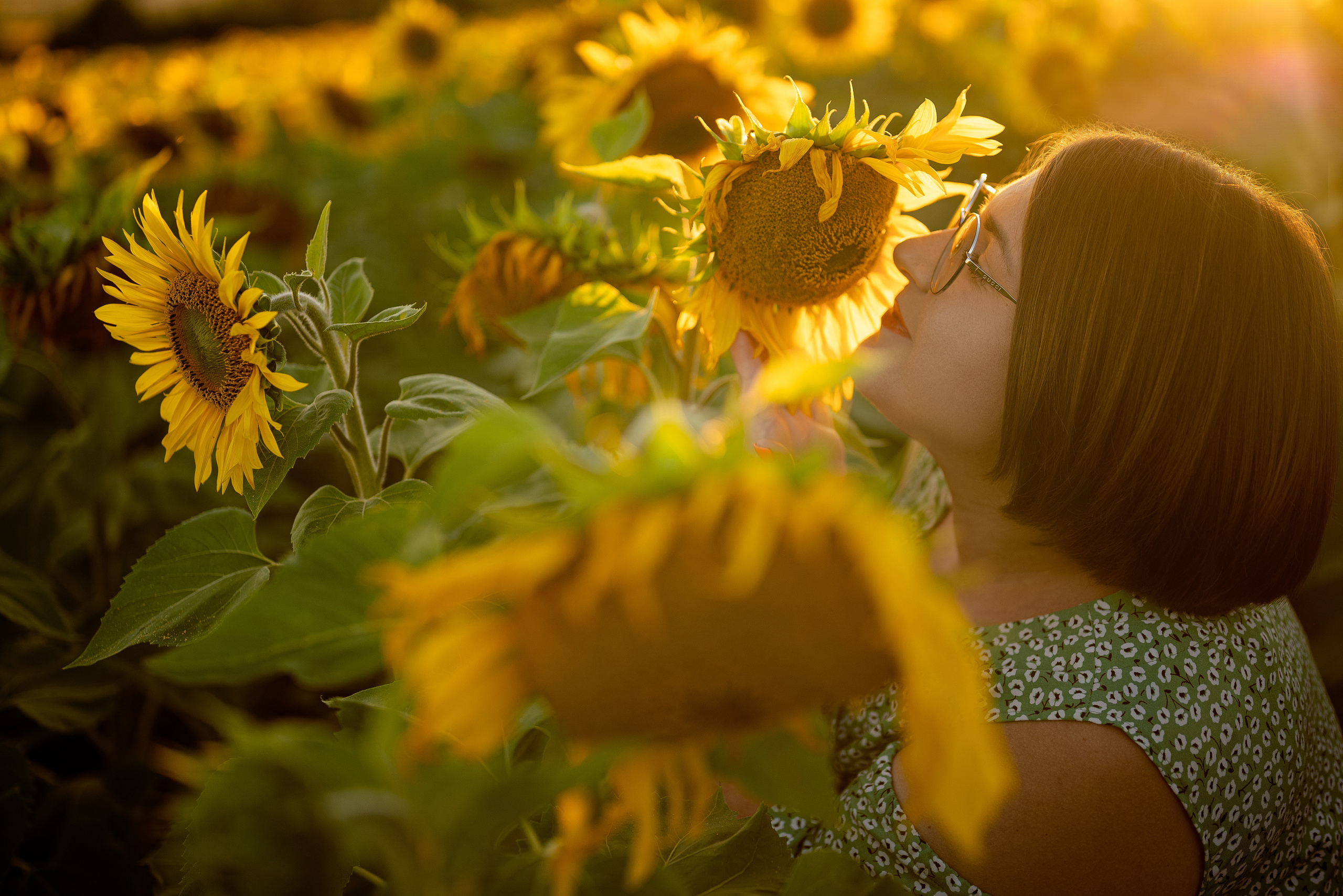 Подсолнуховое веселье. Свадебный и портретный фотограф в Минске Наташа Каракулова
