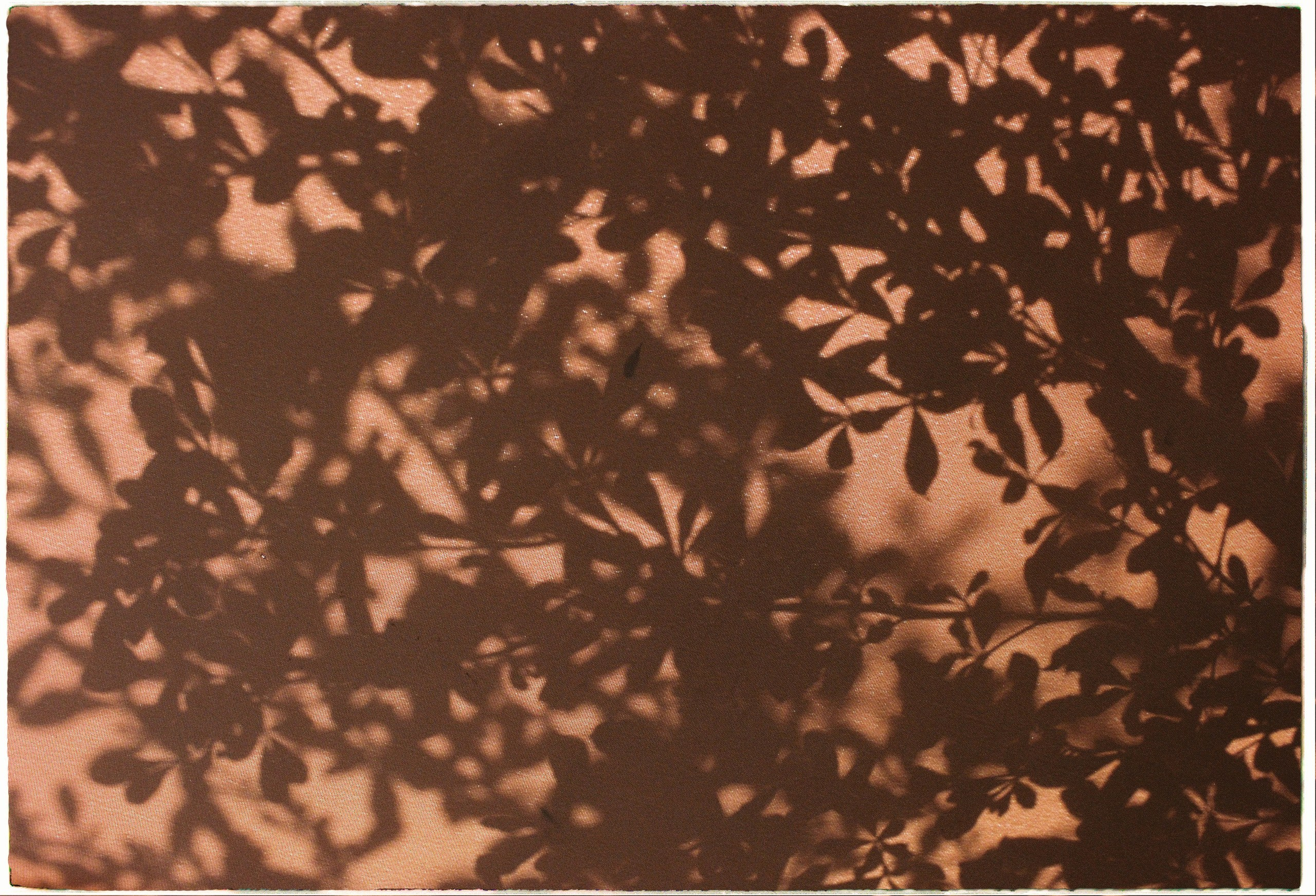 Danang visual diary. Film Photographer in Da Nang, Vietnam — Tanya Parfenteva