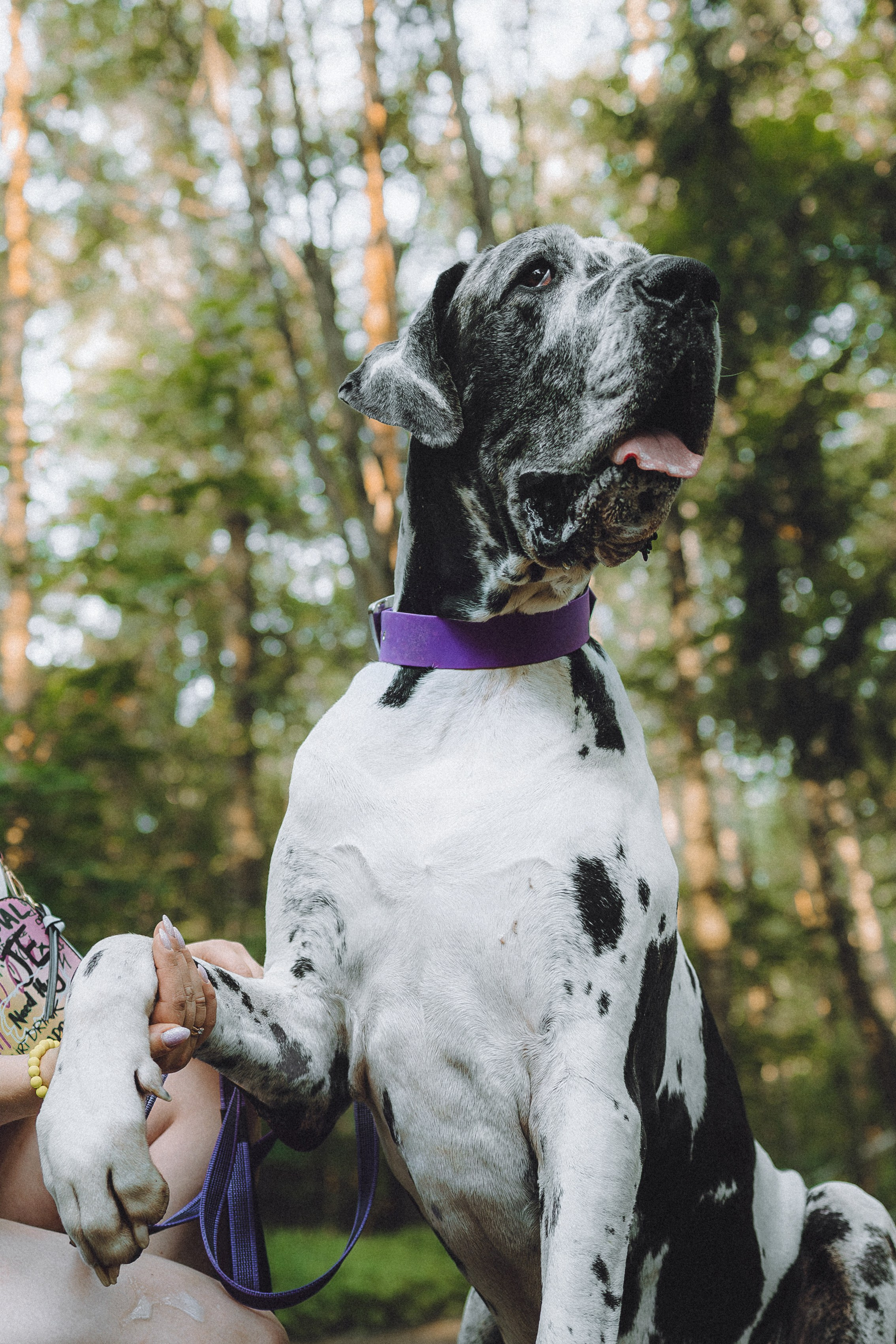 Катя, Андрей, Гектор, Ричи, Тортик и Трой