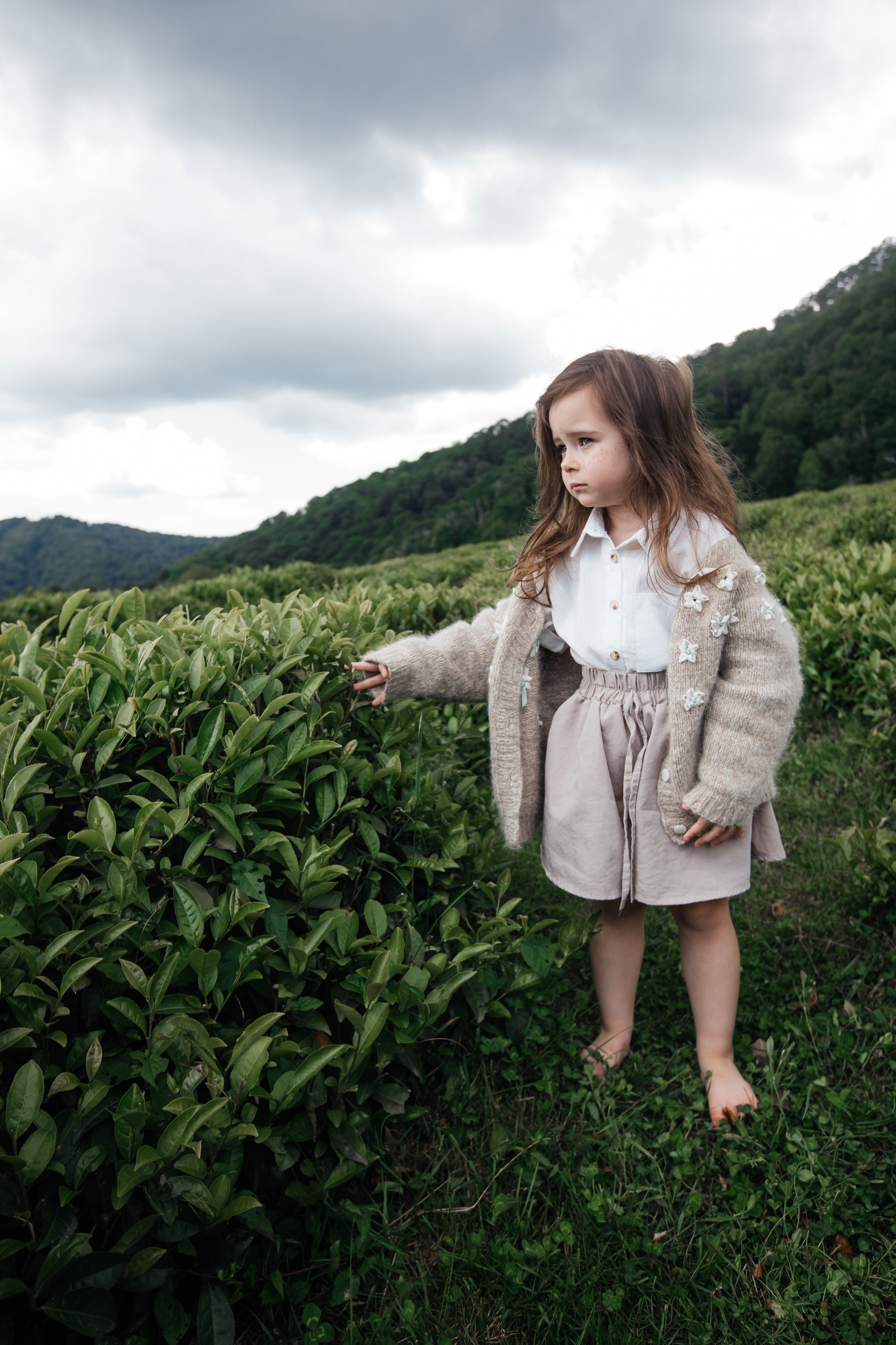 Tea plantation. Efimova Model Agency