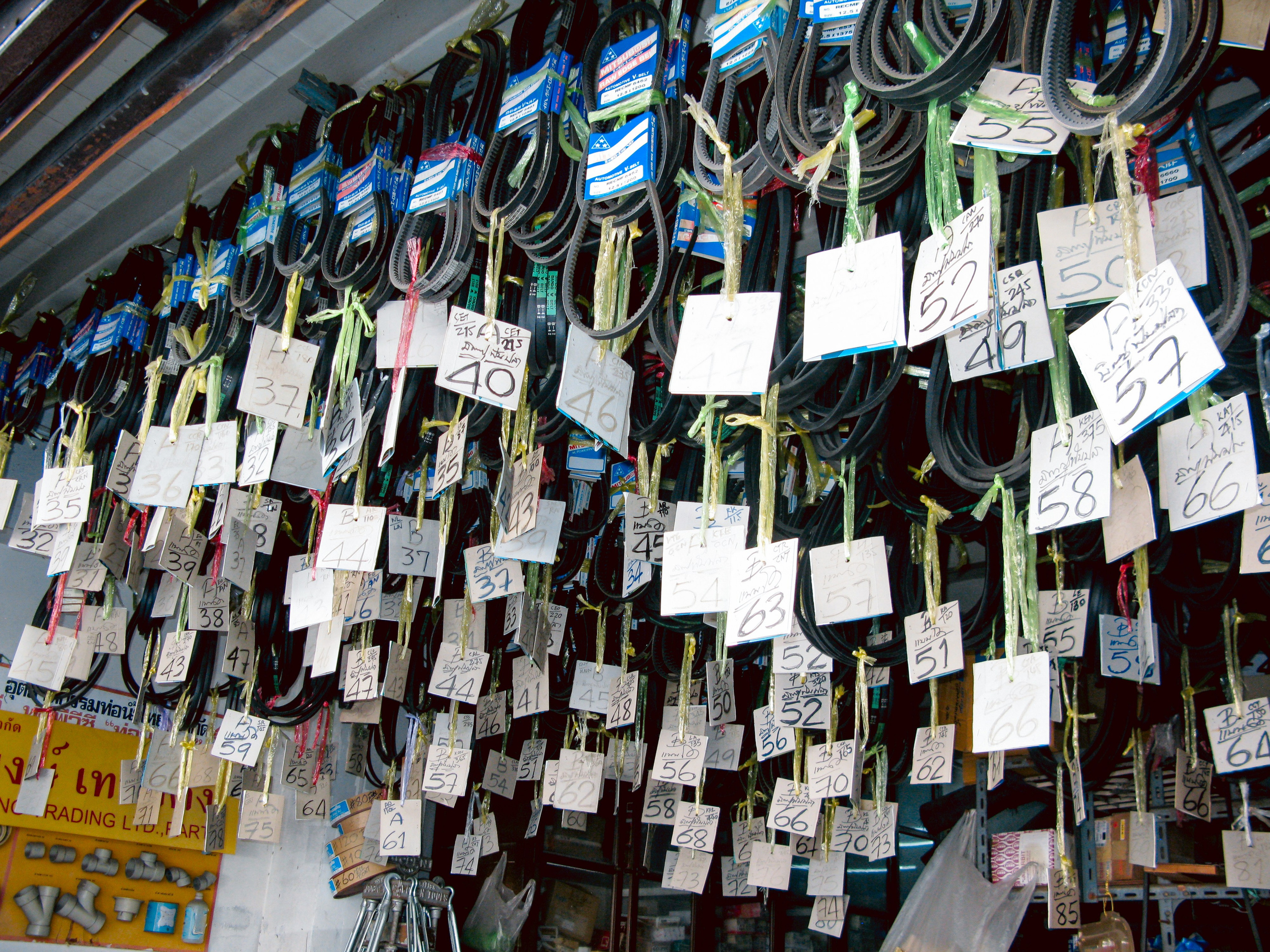 Thai. Фотограф Миланазавр