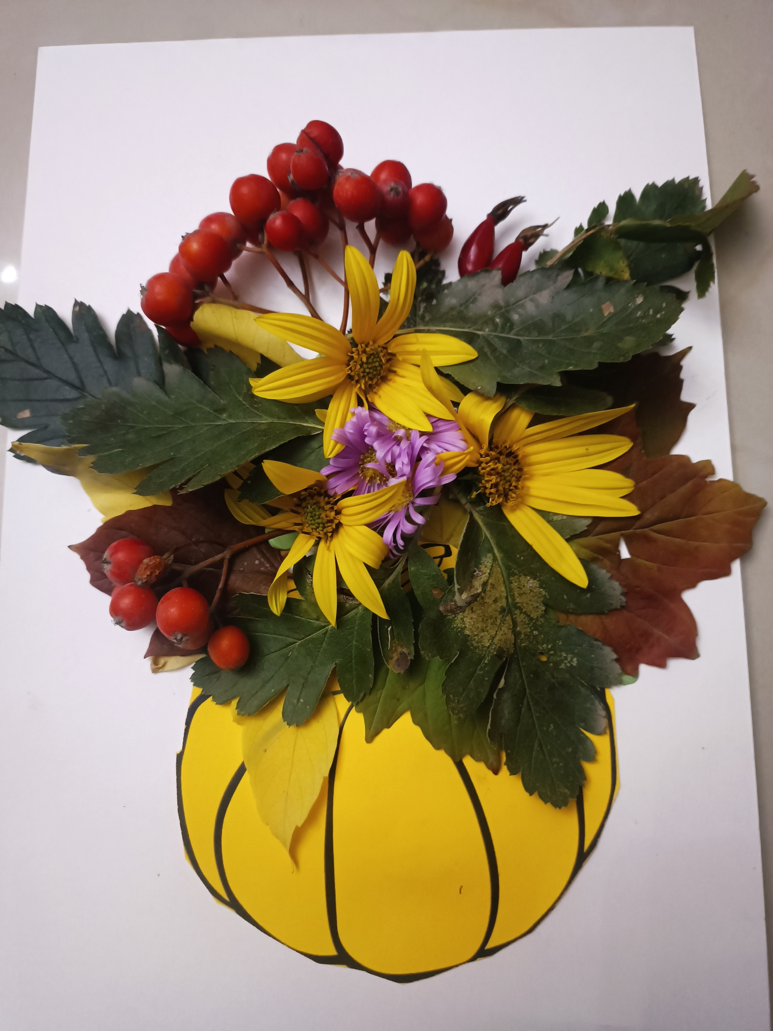 Хижняк Владимир. АНО «Центра социальных проектов «Путь в большой мир»