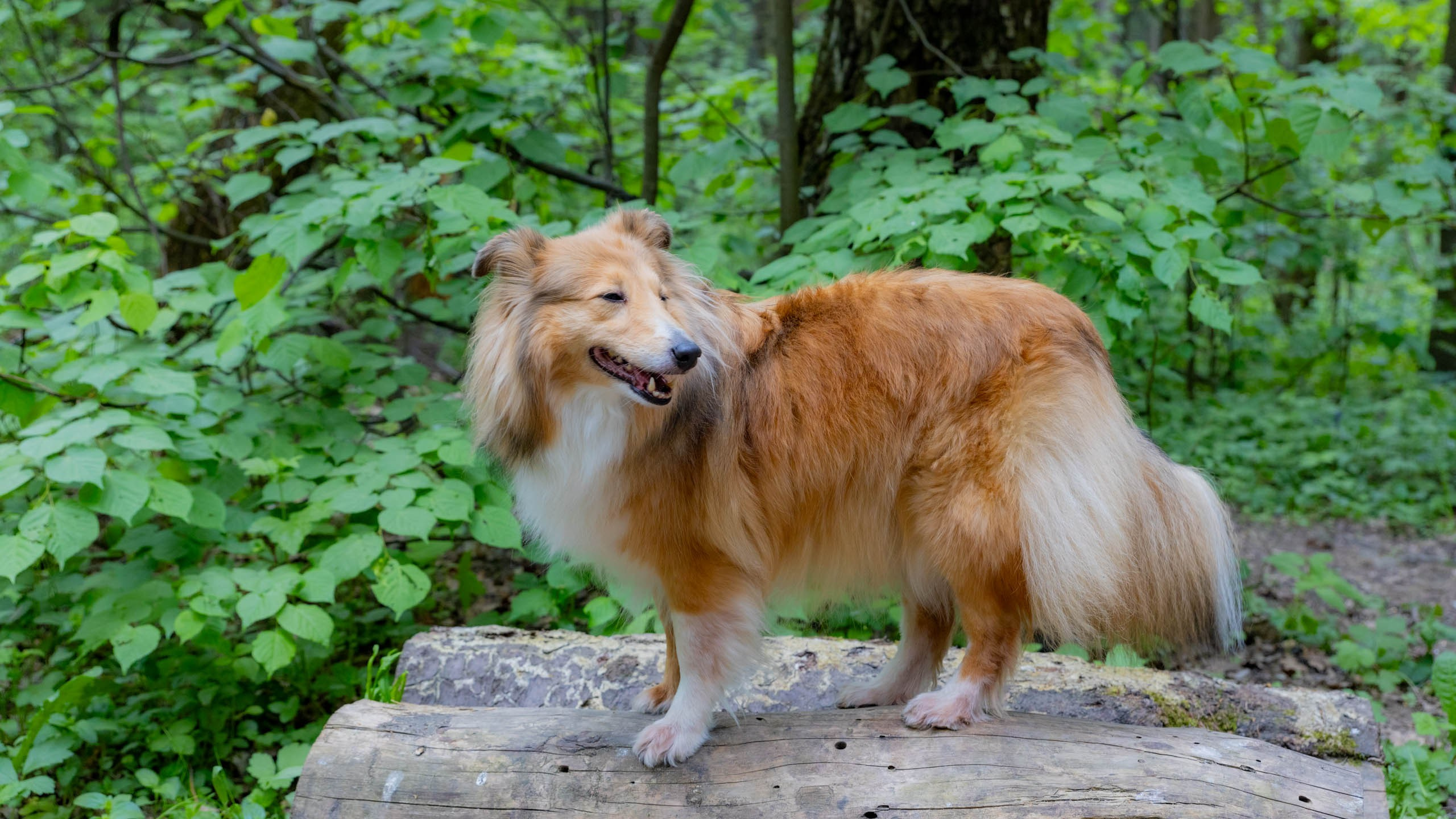 202405 Элис и Лора. Фотографии