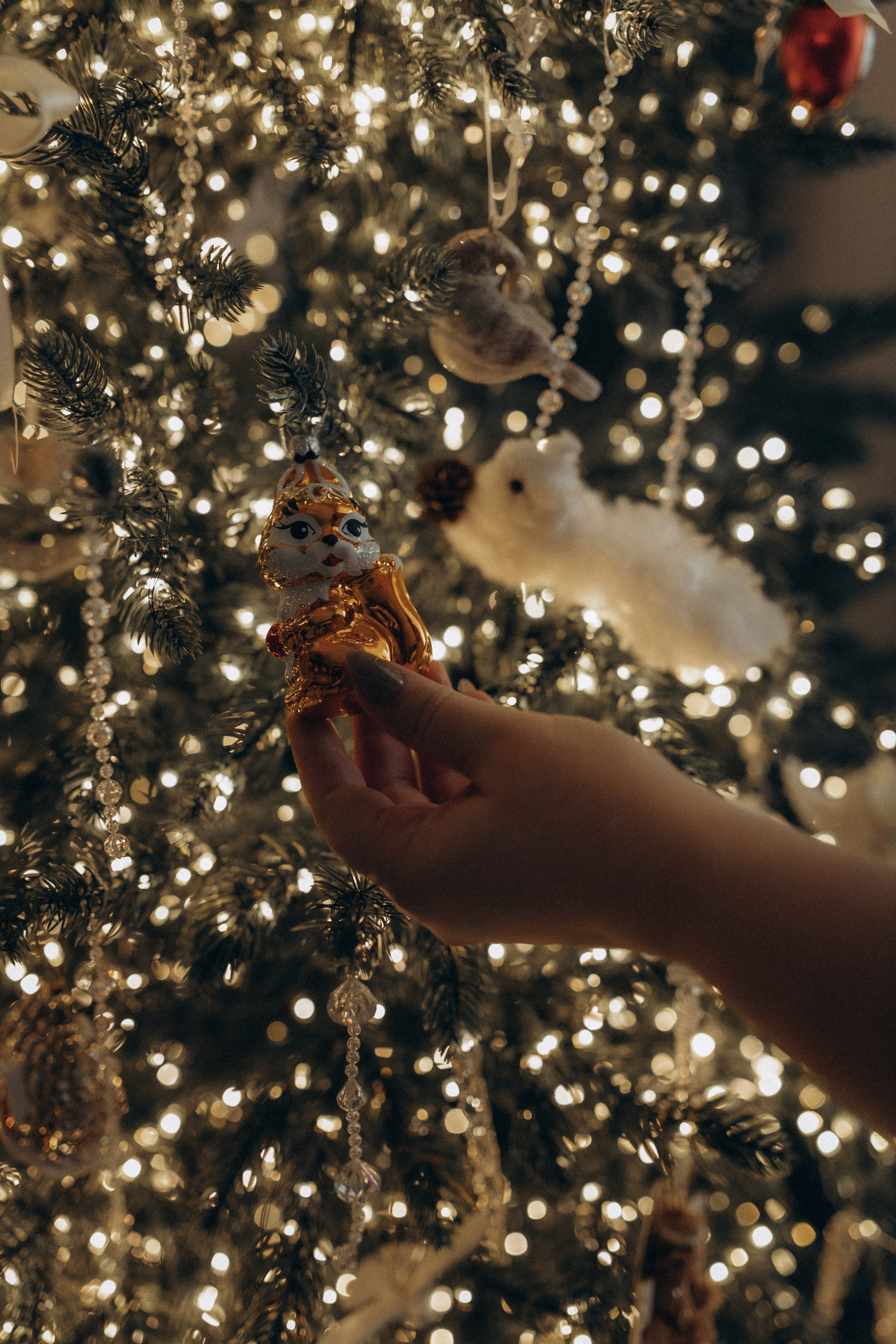 Домашняя история про Лену, Вову и Лею. Фотограф в Петербурге Ольга Стрельченко