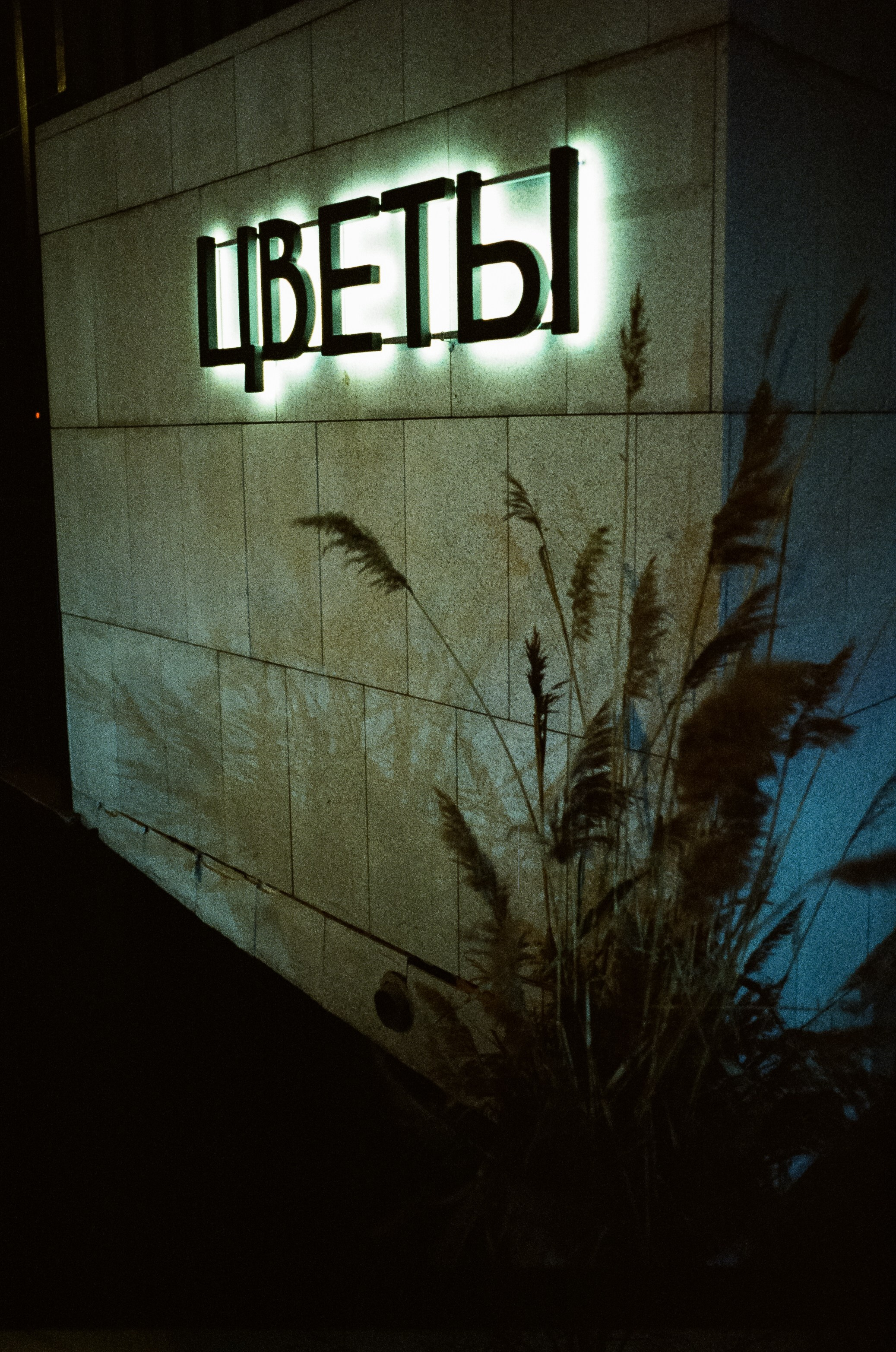 Малая Грузинская, Садовое, Петровка / Voigtlander BESSA-T — Ultron 28 mm f/2 / SFL 500T