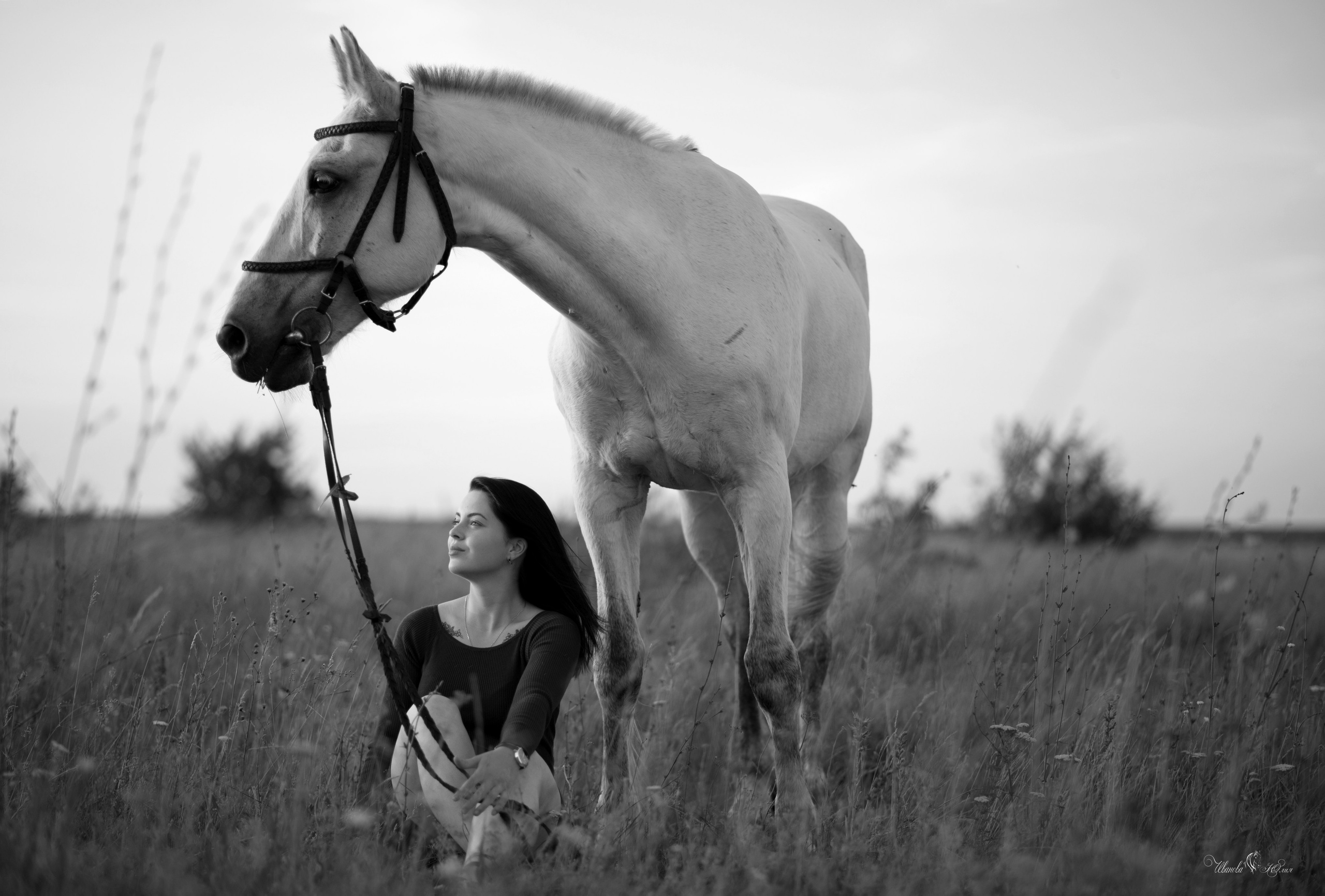 Кристина и Гипноз. Конный фотограф в Саратове Юлия Иванова