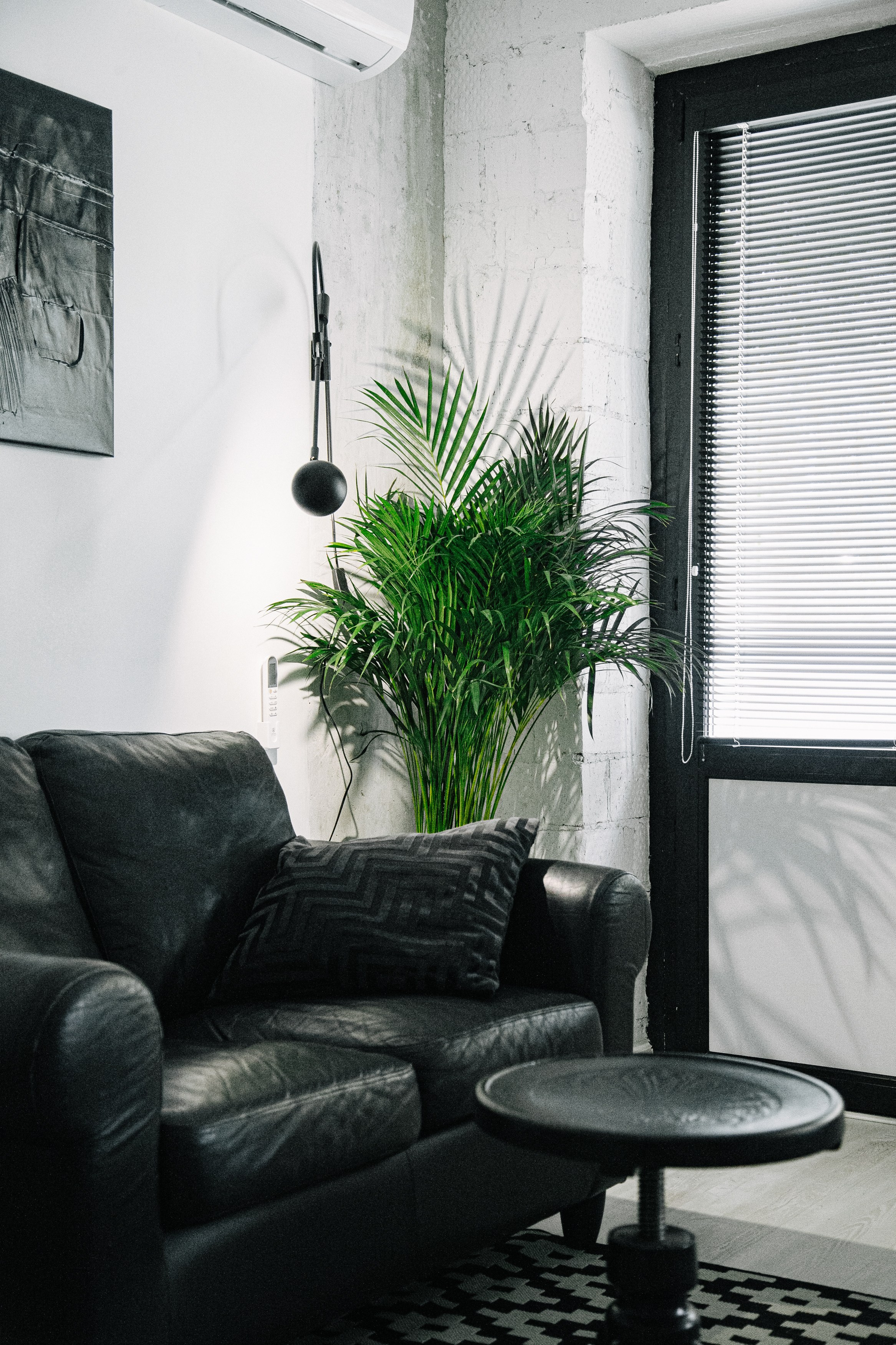 ЧБ лофт 28 кв. м. Фотограф Оля Батист