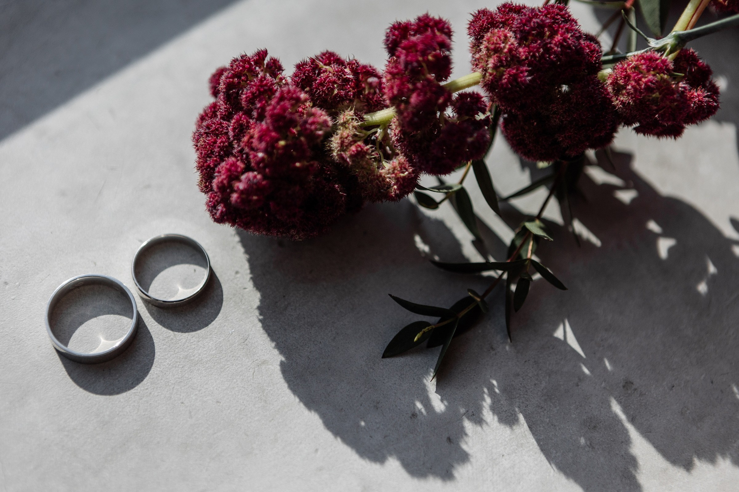 Фотограф в Москве Александр Львович