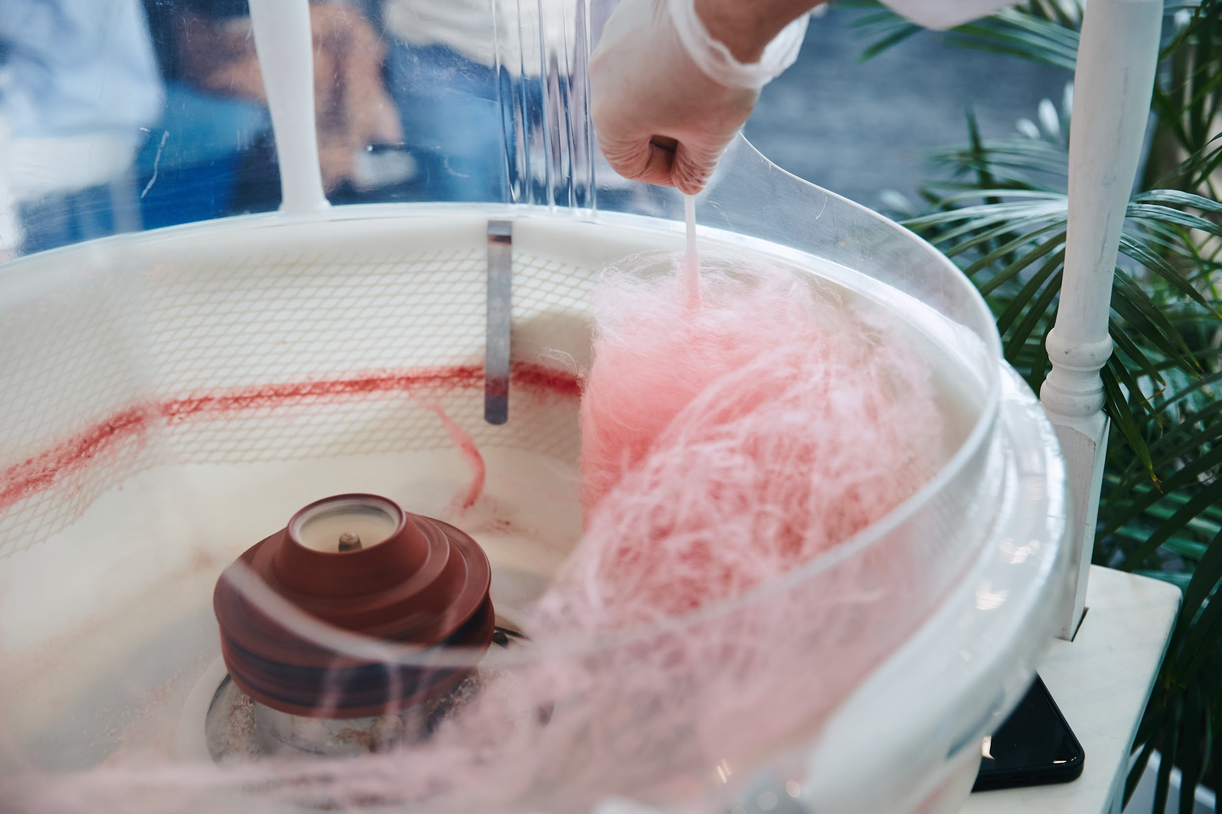 День Рождения IT-холдинга. Татьяна Фомичева. Репортажный и светский фотограф в Москве