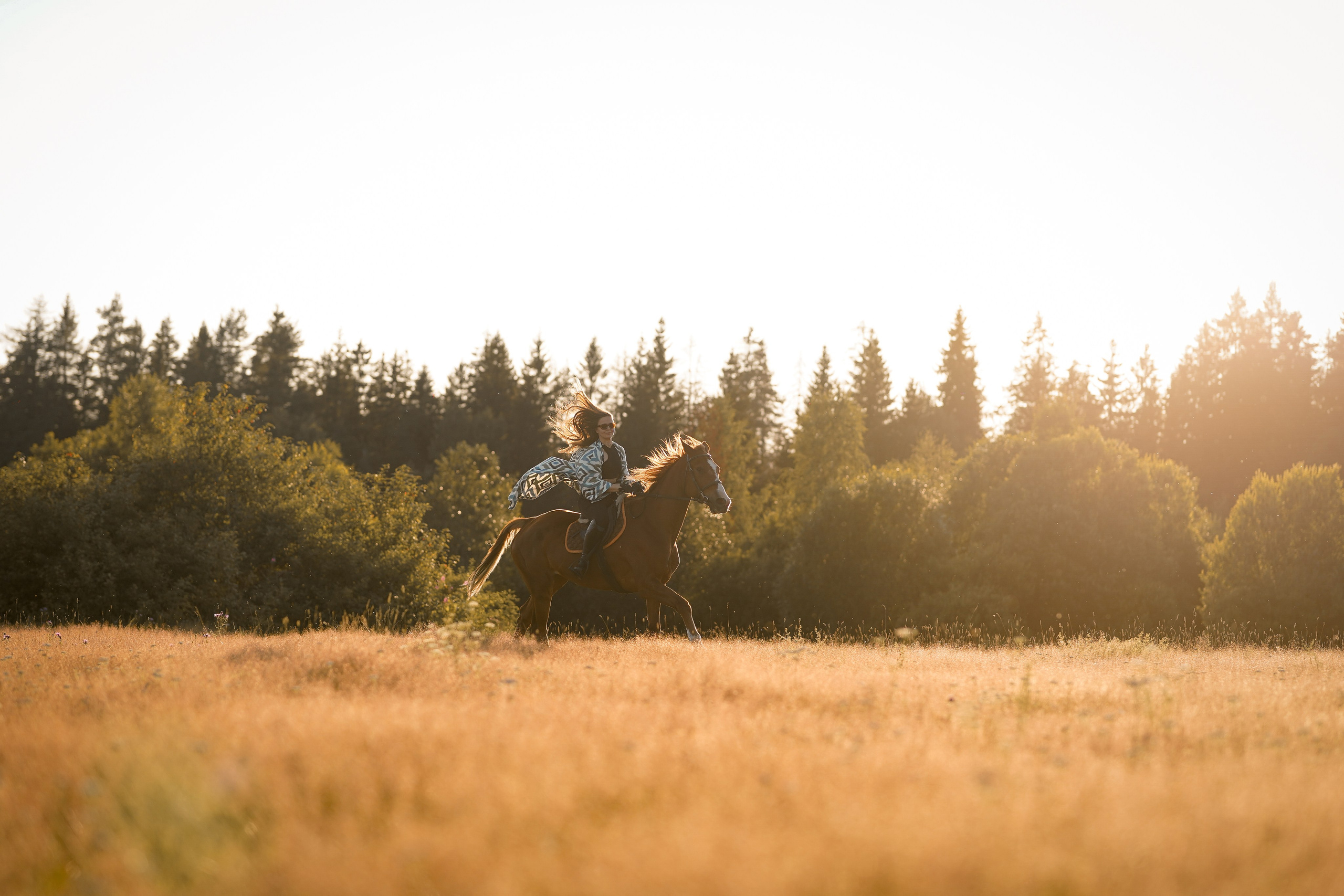 Лера Джон и Диамант. Фотограф-анималист в Санкт-Петербурге Яна Мартынова