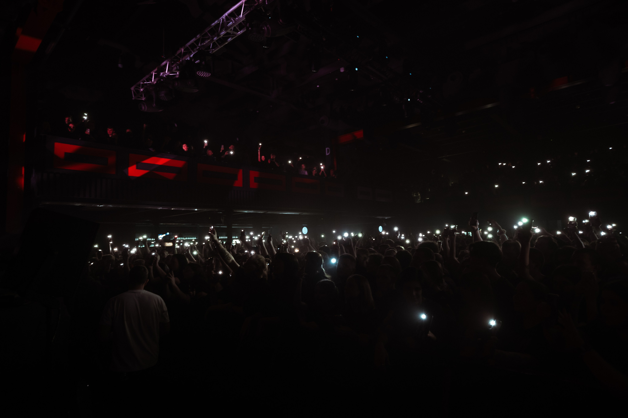 Wildways, Sound, 16.11.24. Репортажный фотограф, Санкт-Петербург