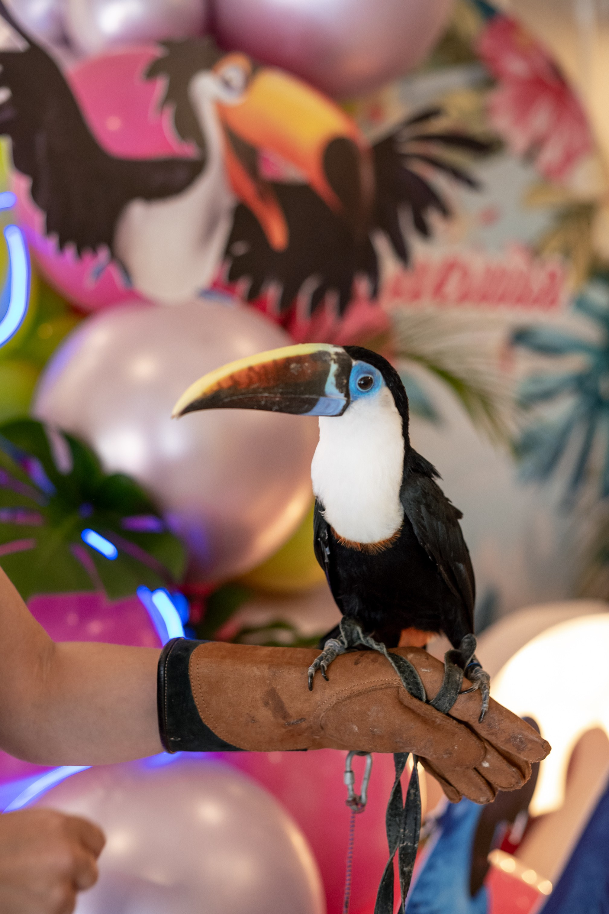 Детские Праздники