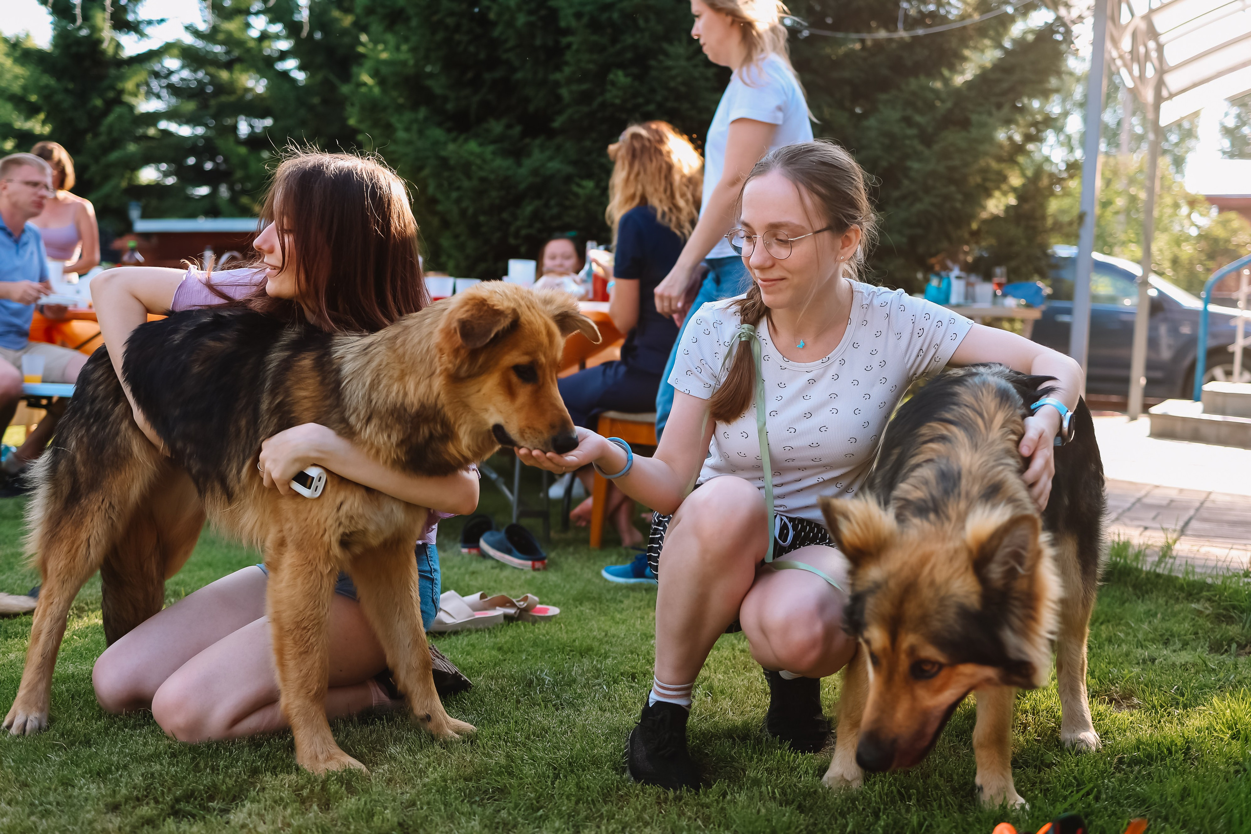 Корпоратив. Семейный и детский фотограф в Новосибирске Алёна Малахова