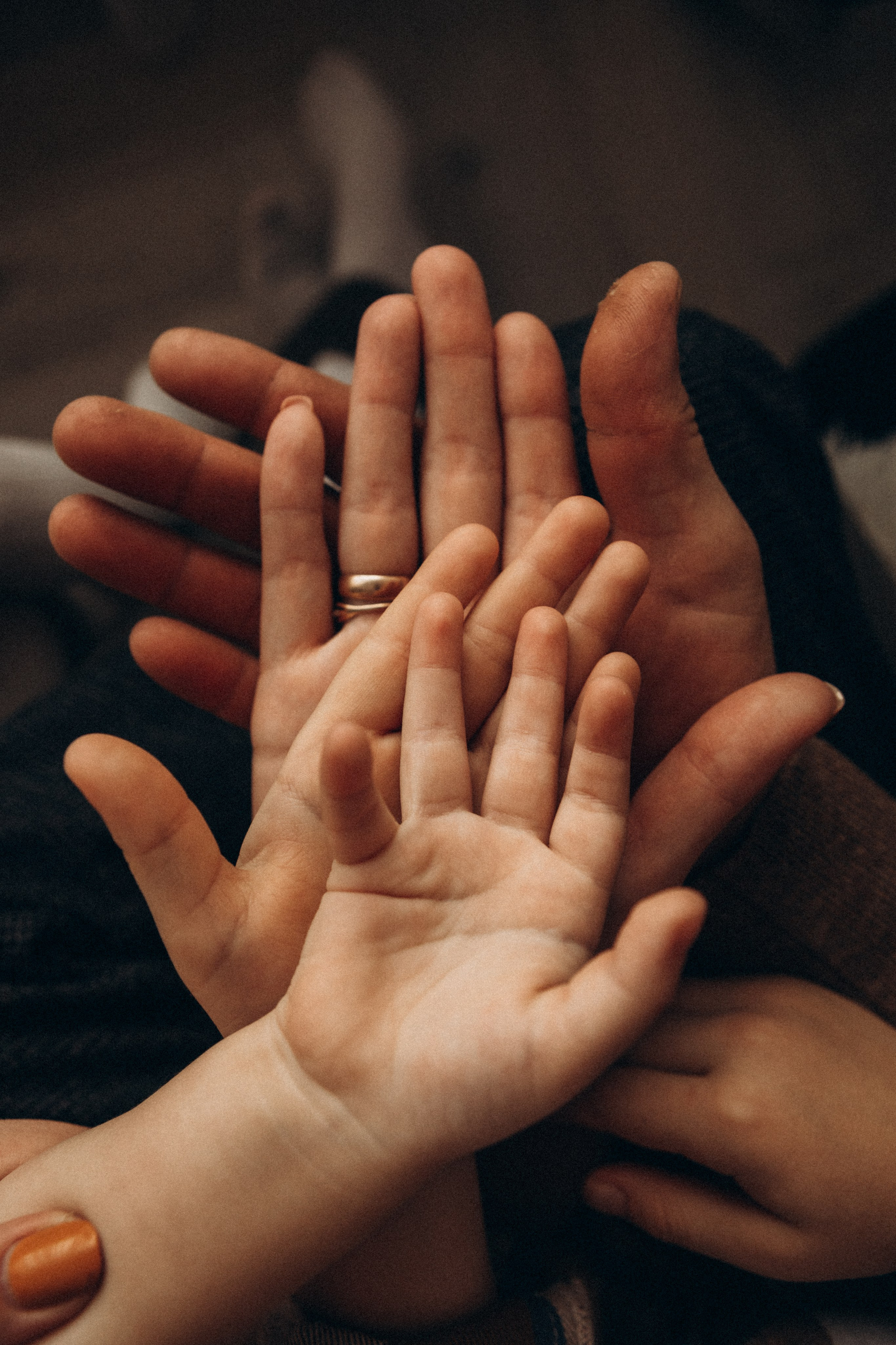 Таня, Вася, Саша и Лена