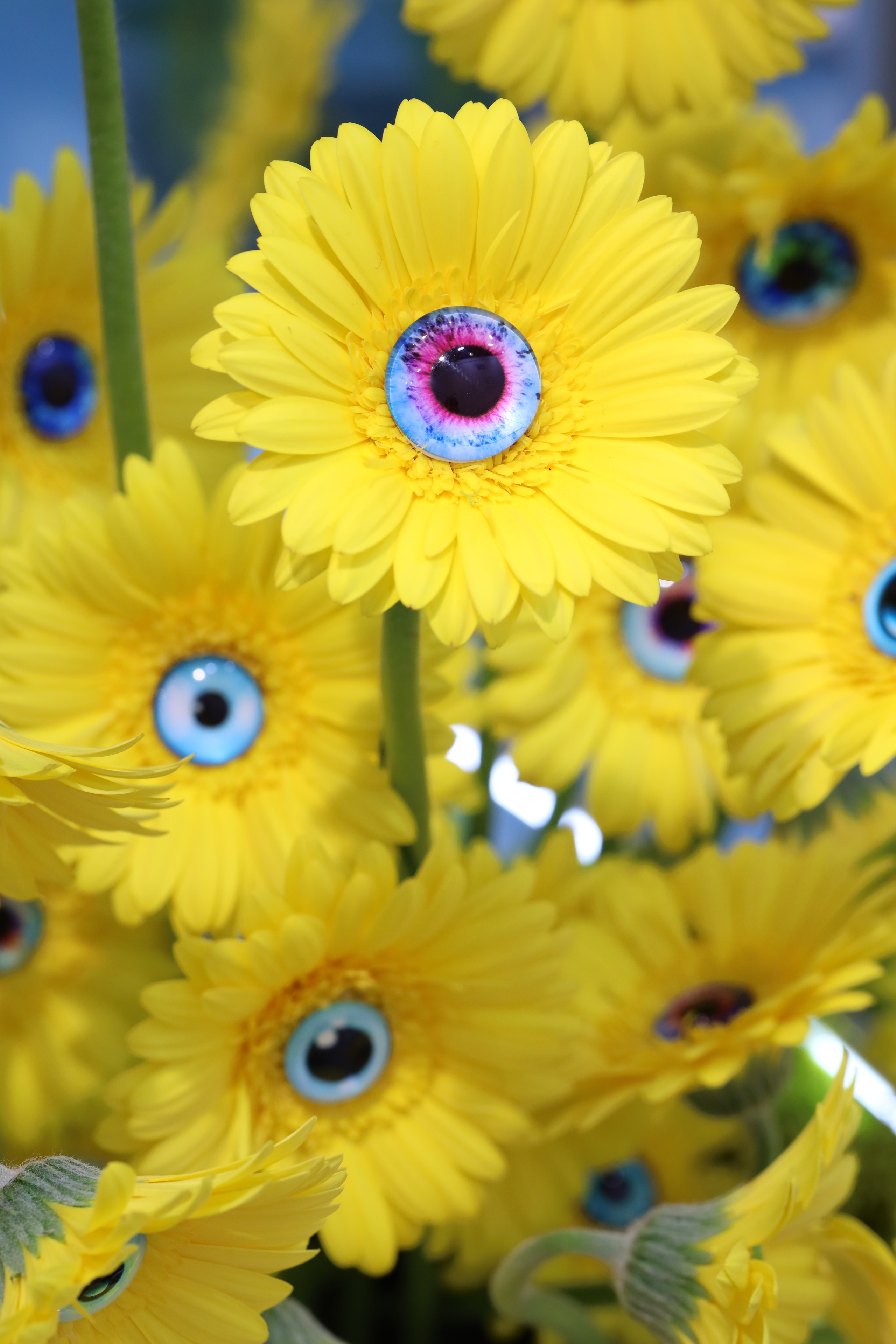 Цветы-Экспо 2023. Фотосессии и репортаж — Фотограф в Москве — Рина Серёгина