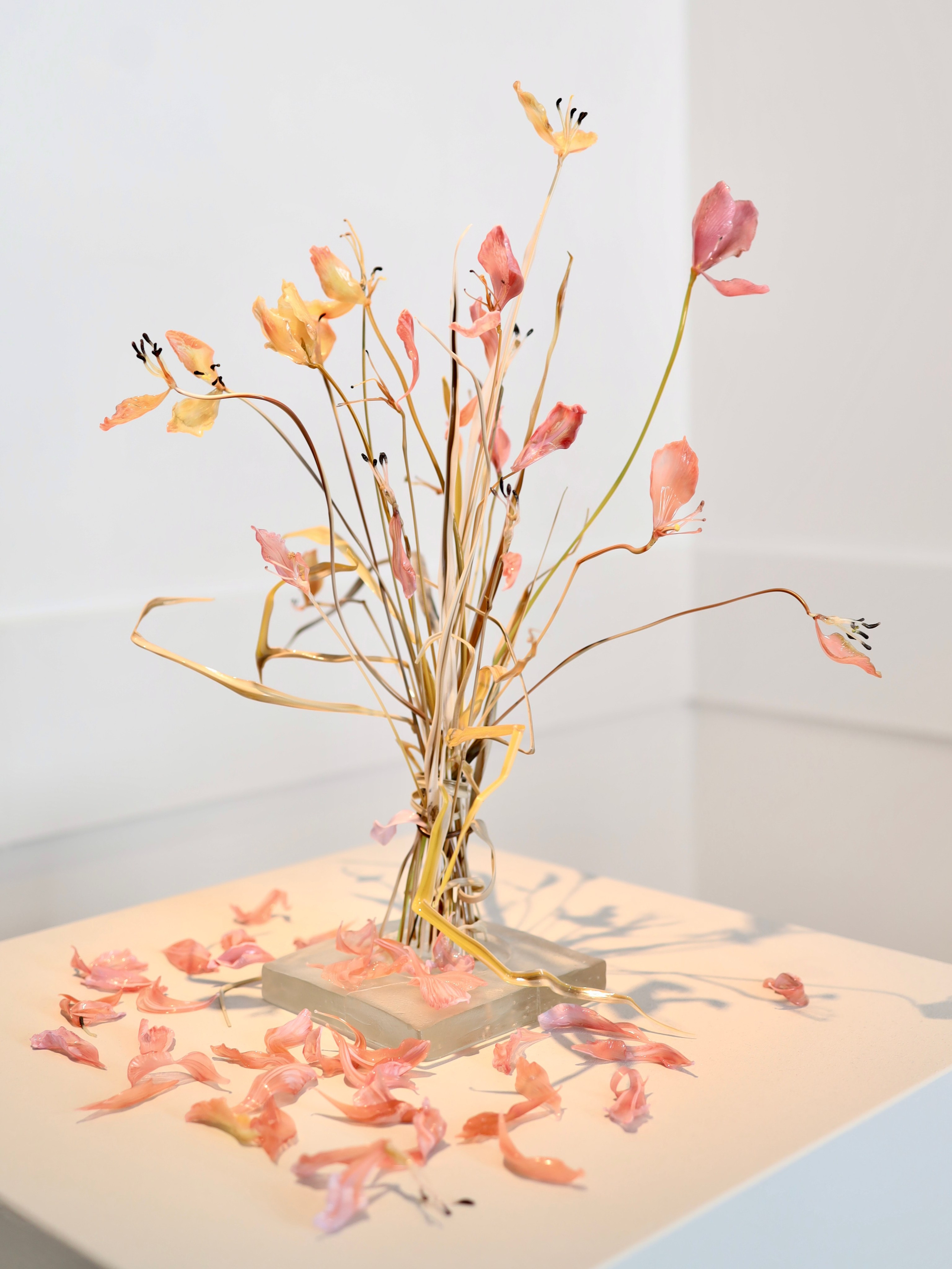 Выставка Степени прозрачности. Фотосессии и репортаж — Фотограф в Москве — Рина Серёгина