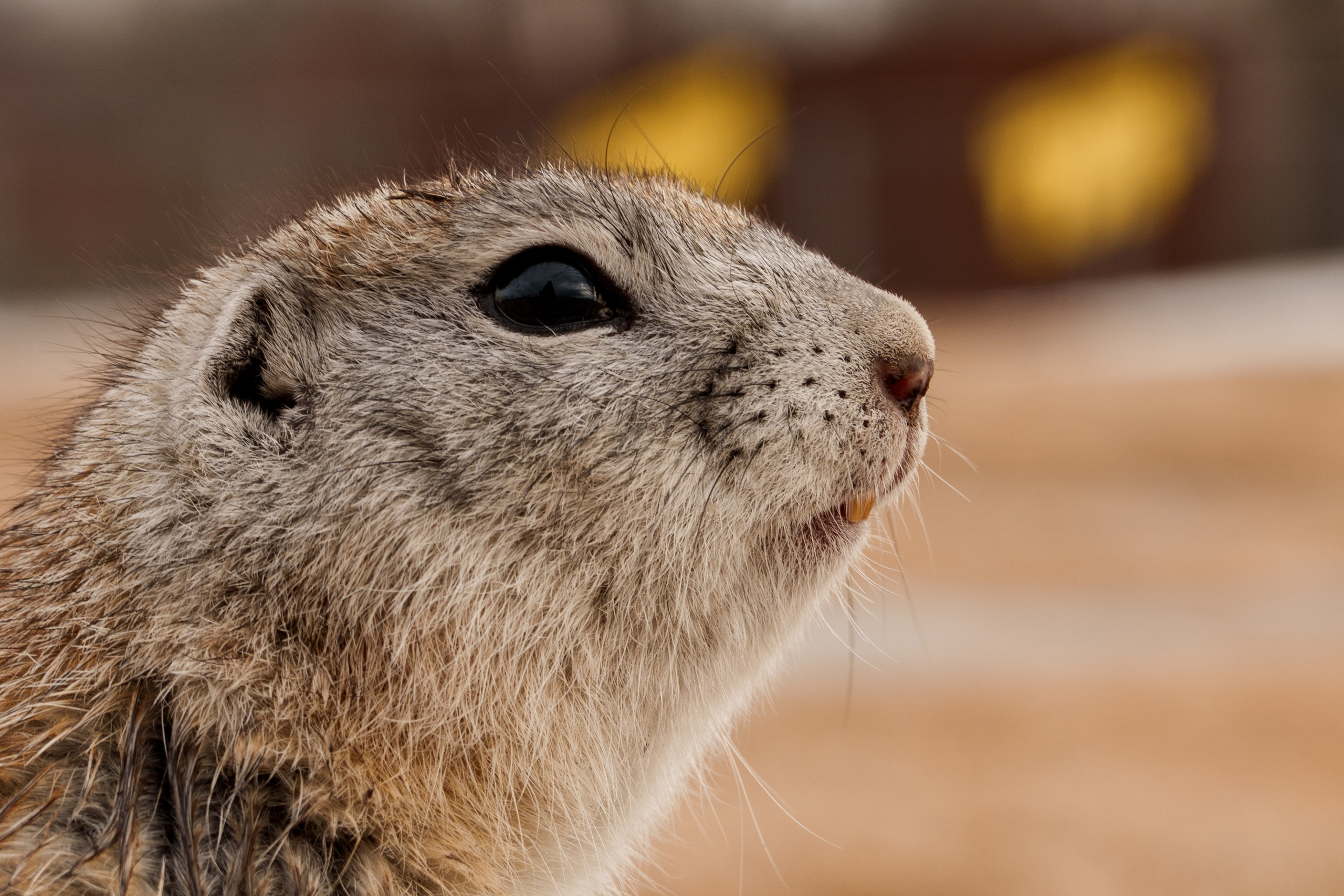 Авторское видение — Фотогалерея пейзажей и стрита | dsknar.ru. Донеал Скнарь — концертный фотограф
