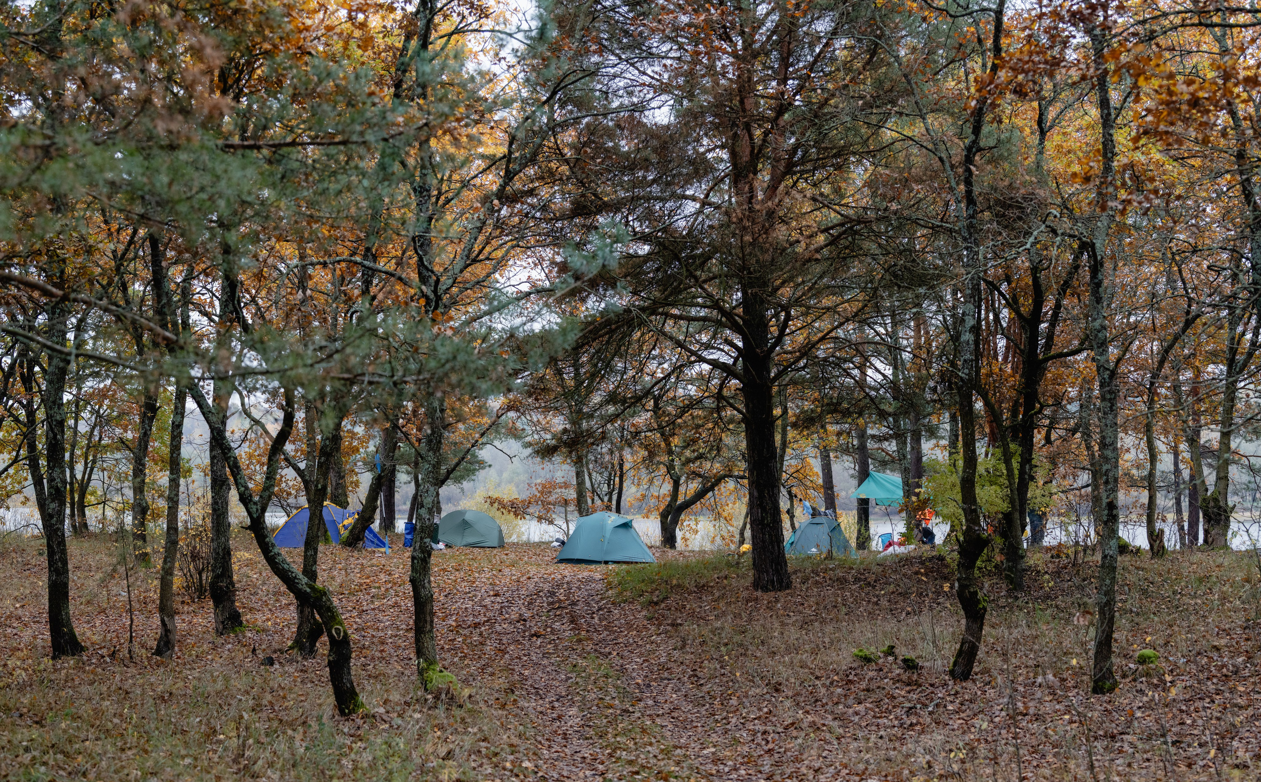 Осенью на Припяти