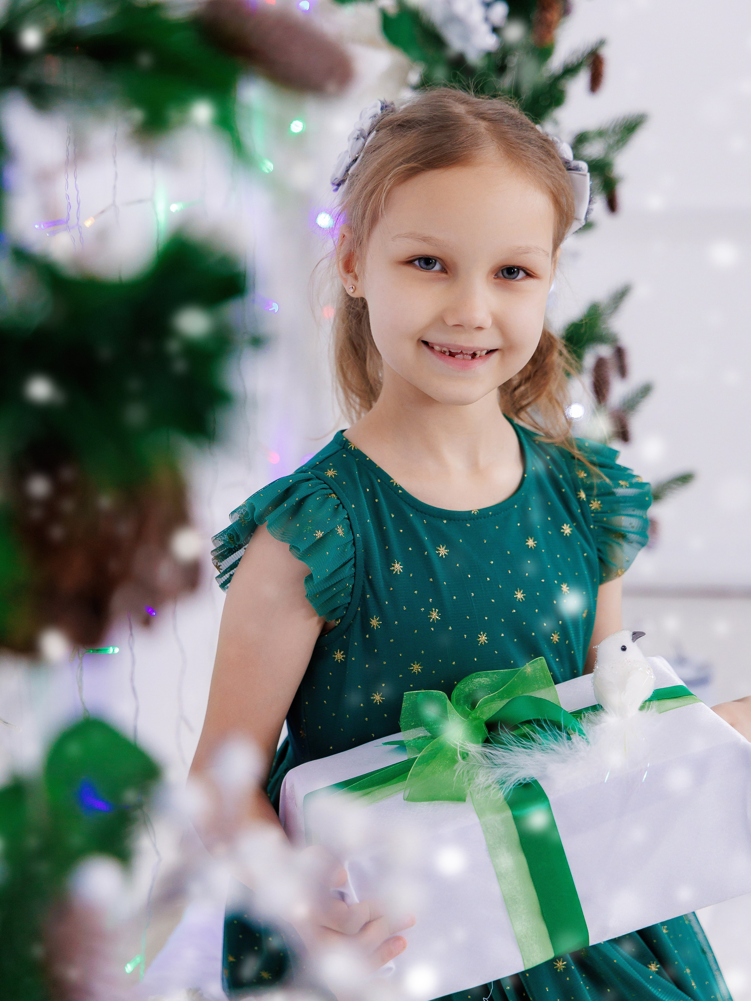 Новый 2025 год. Инга Кузьминская ТОП-фотограф г. Корсаков