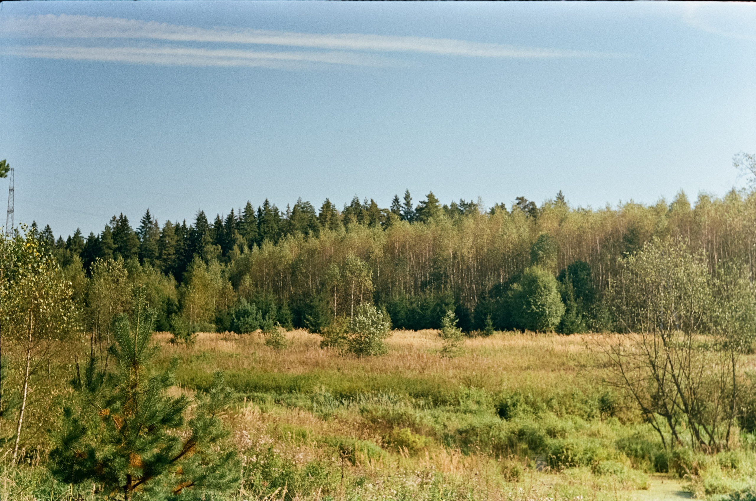 Edixa-MAT REFLEX Mod.D | Carl Zeiss Jena Biotar 58 mm f2 T | SFL 250D