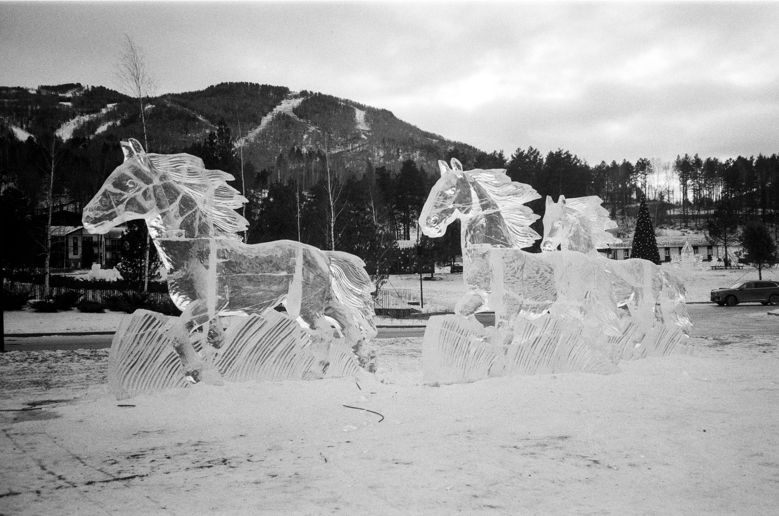 Olympus AF-10 SUPER / Ilford PAN 400 / Алтай, зима 2023 год