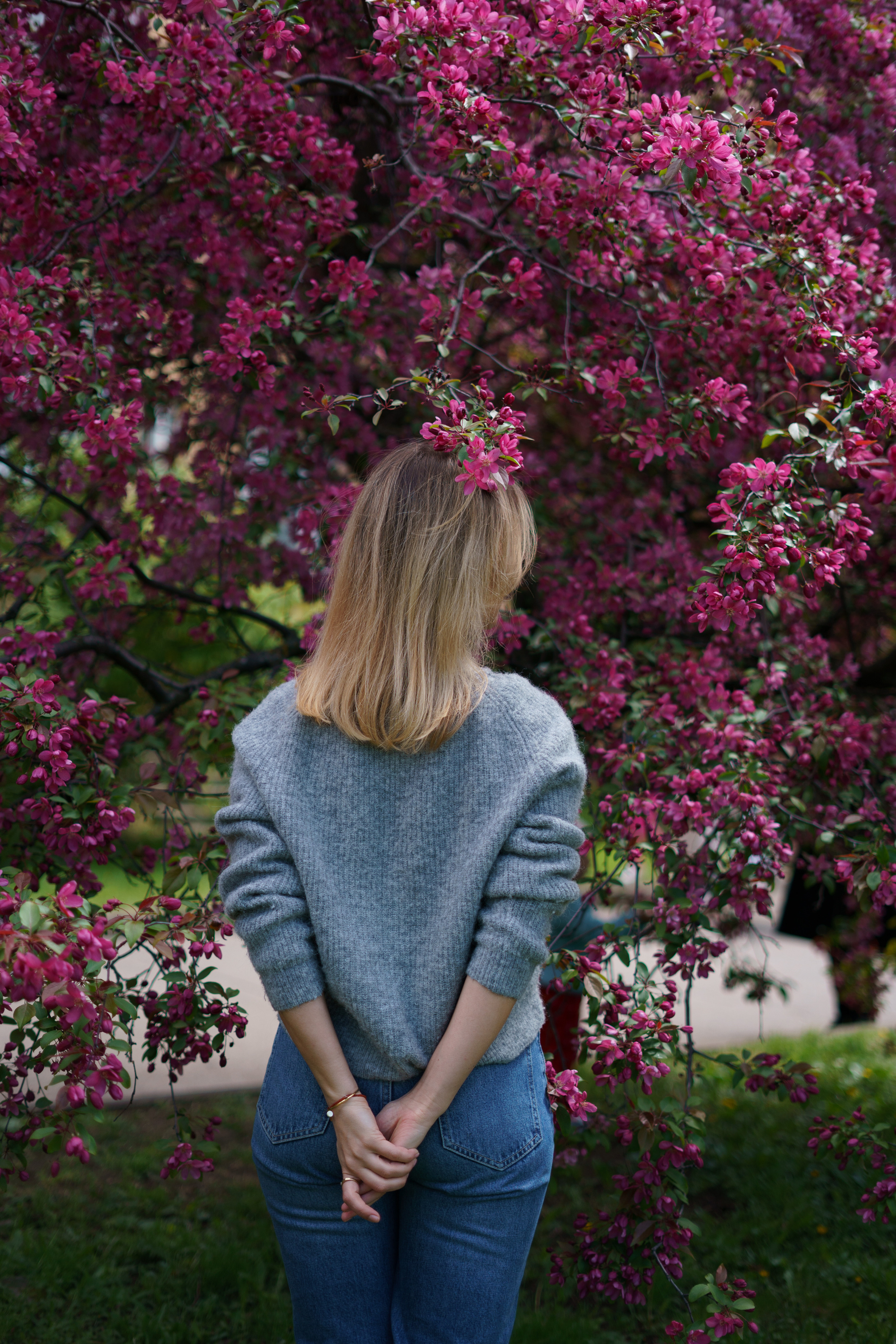 Девушка на фоне цветущей розовой яблони. Фото со спины