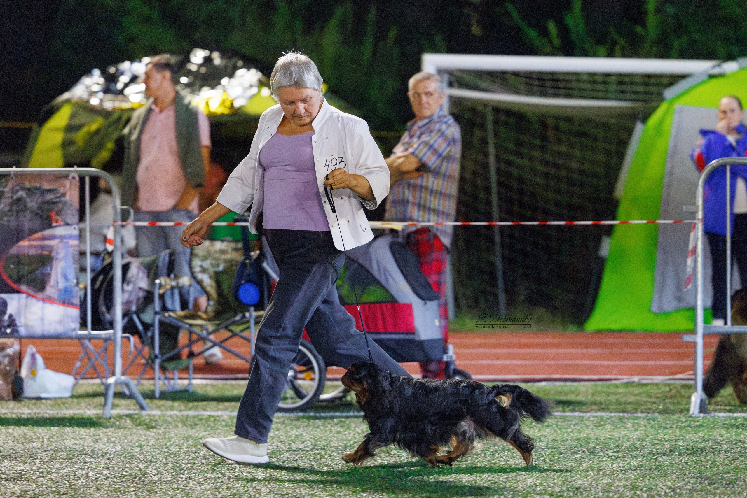 Волгоград 2-4.08.2024. Фотограф-анималист Юлия Германика