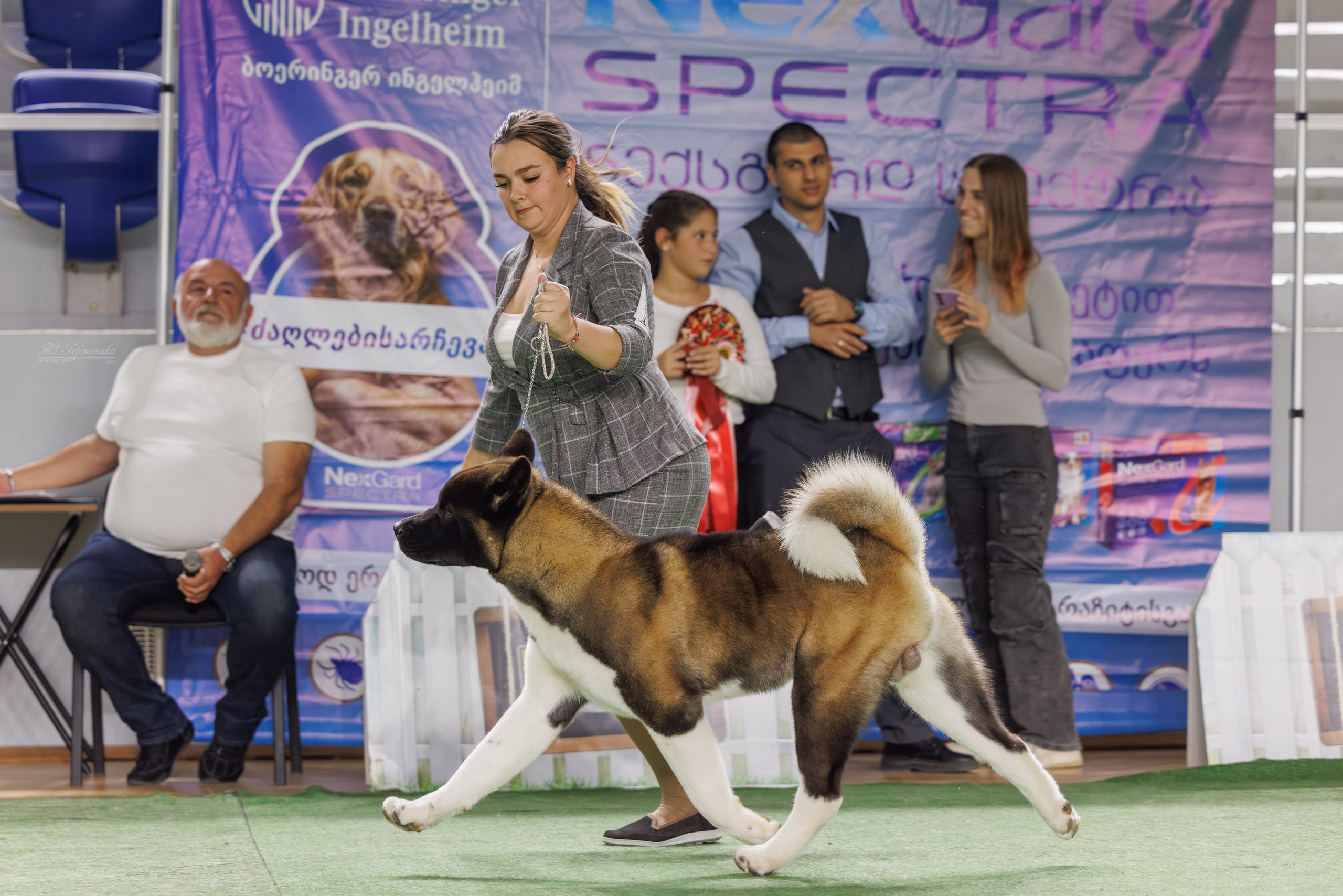 Телави 11-12.10.2025. Фотограф-анималист Юлия Германика