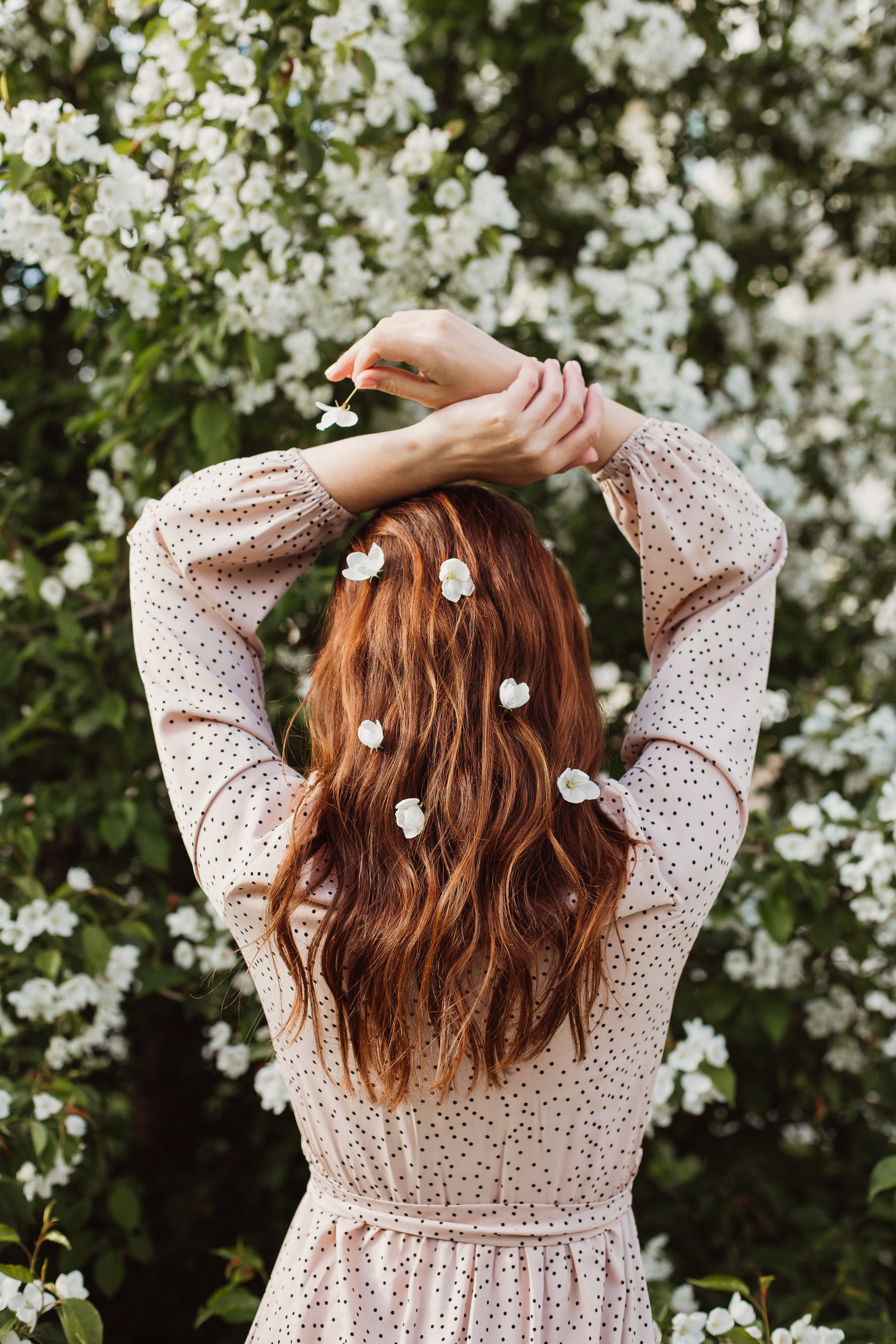 Яблони в цвету. Ирина Квасова | Фотограф в стиле VOGUE | Тюмень