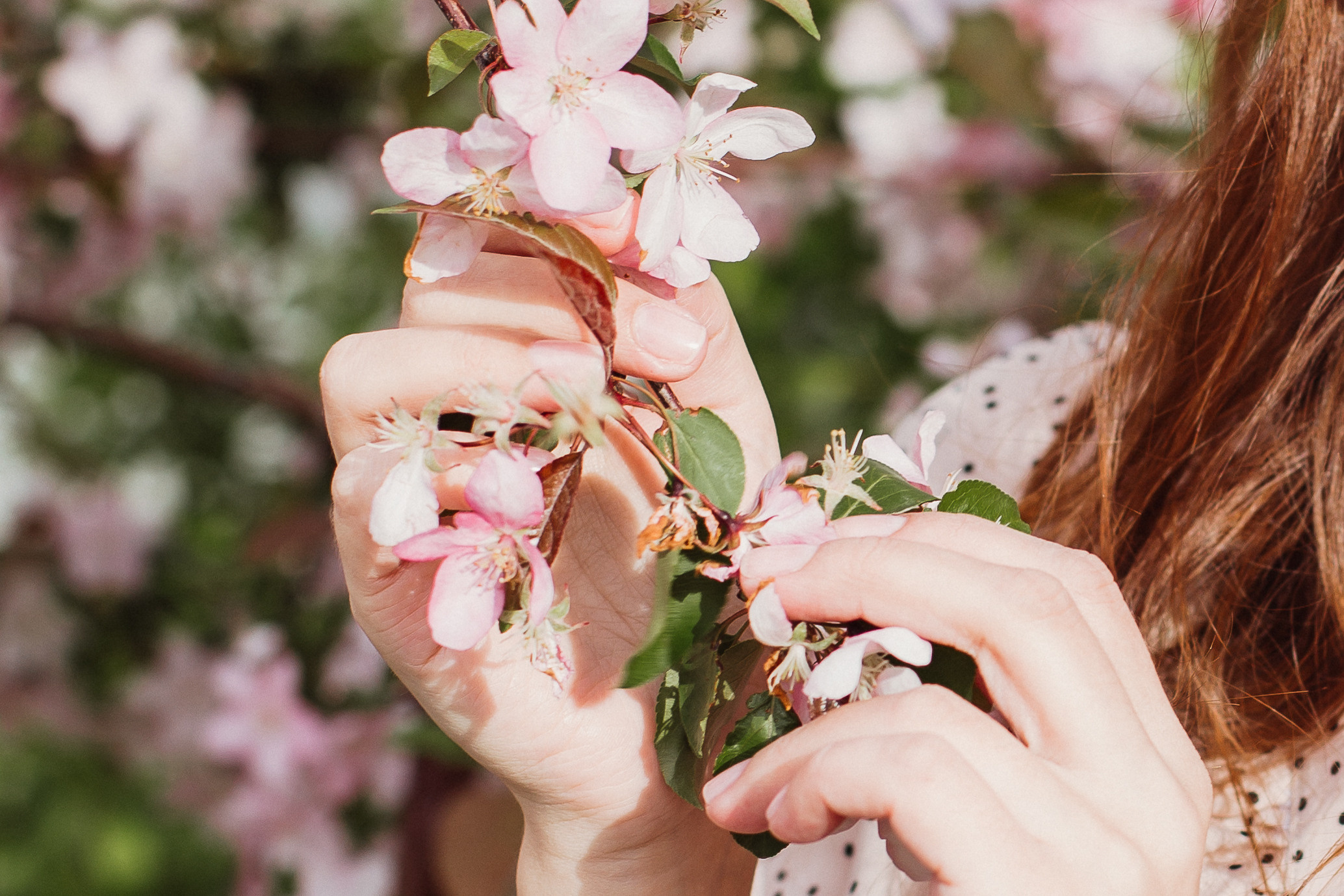 Яблони в цвету. Ирина Квасова | Фотограф в стиле VOGUE | Тюмень